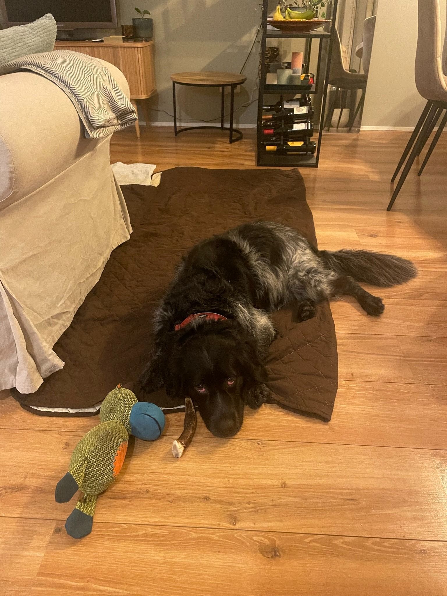 image-11