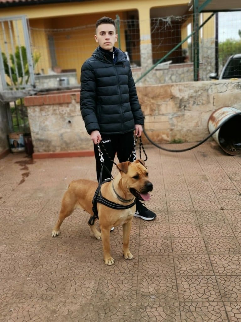 image-2