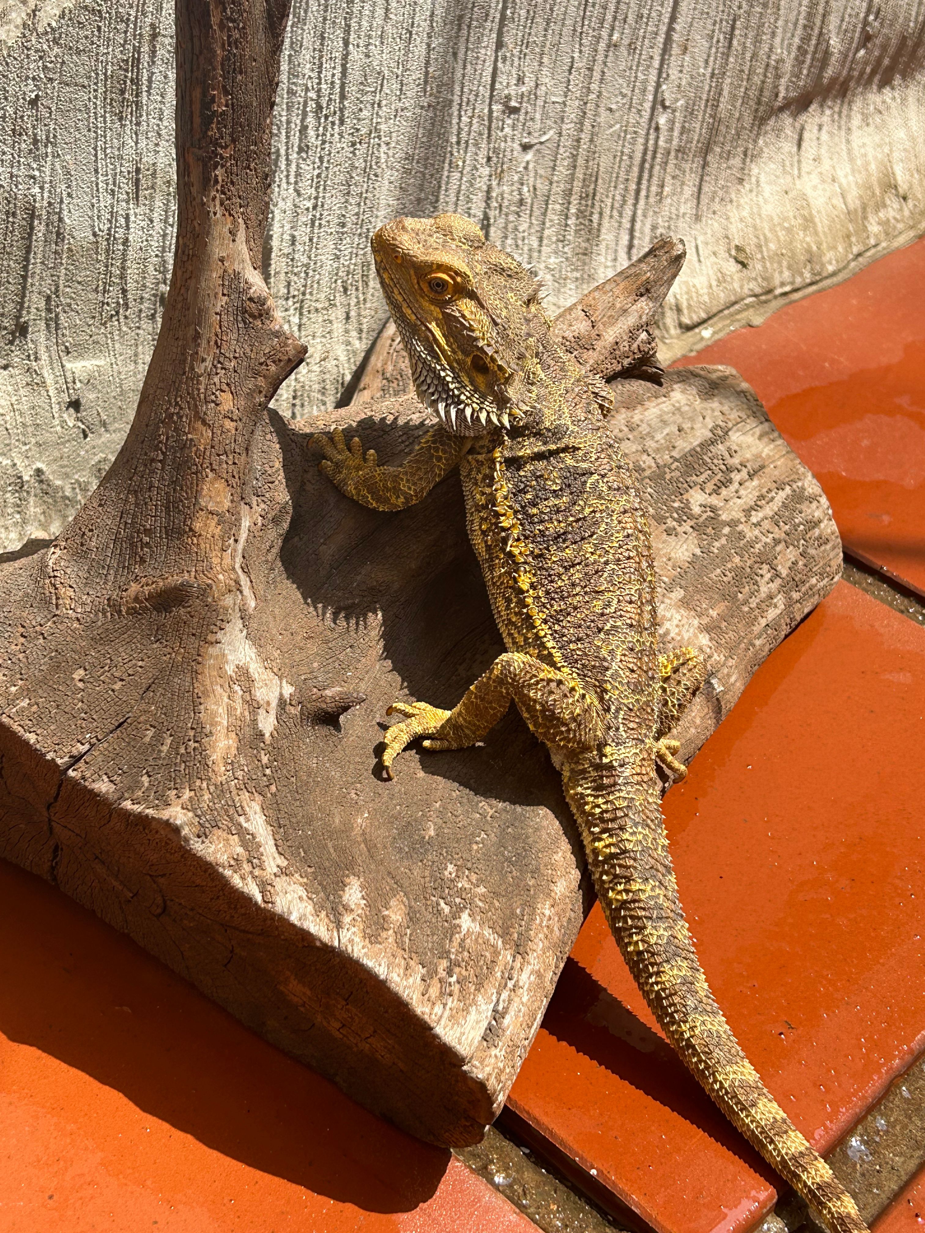 image-10