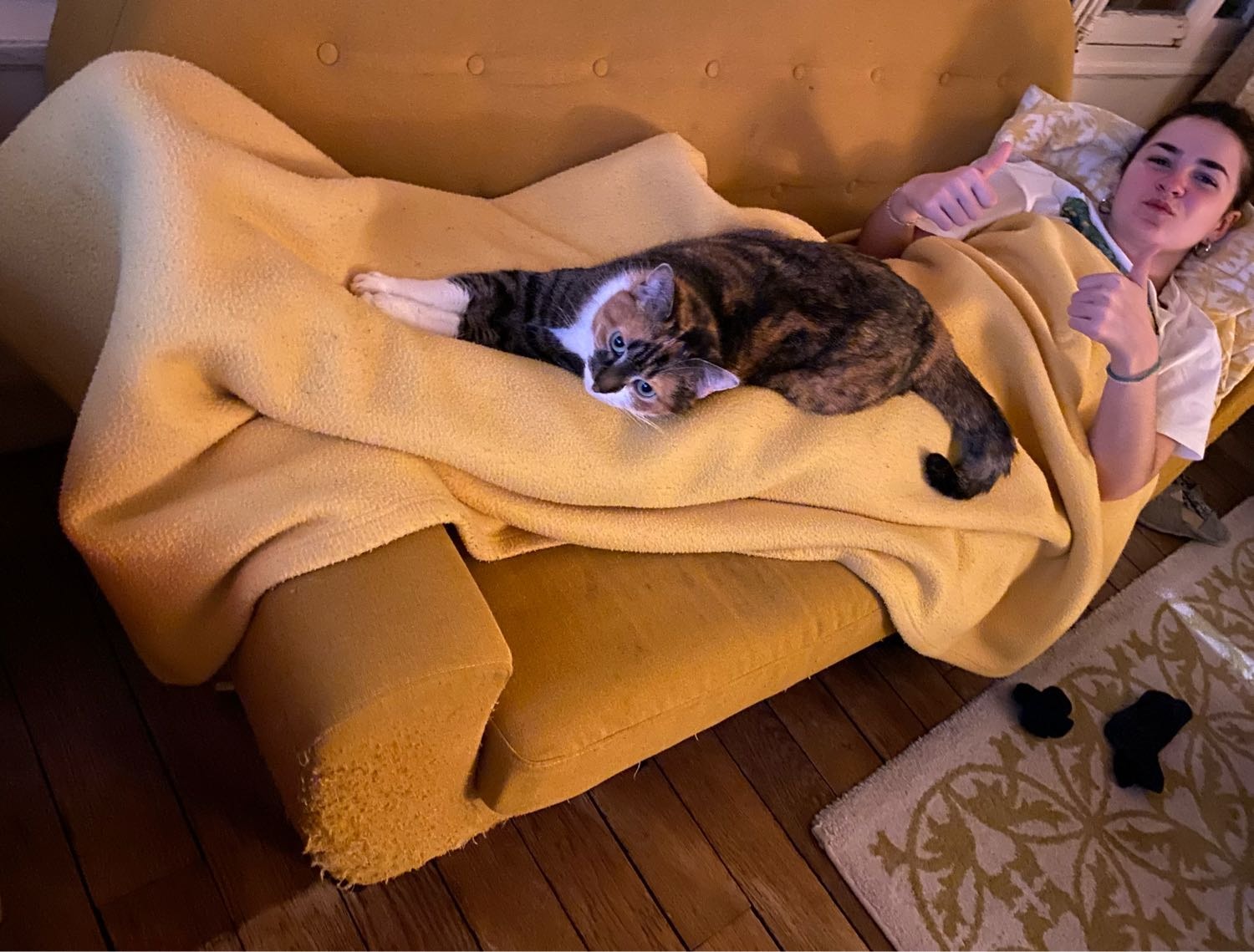 image-9