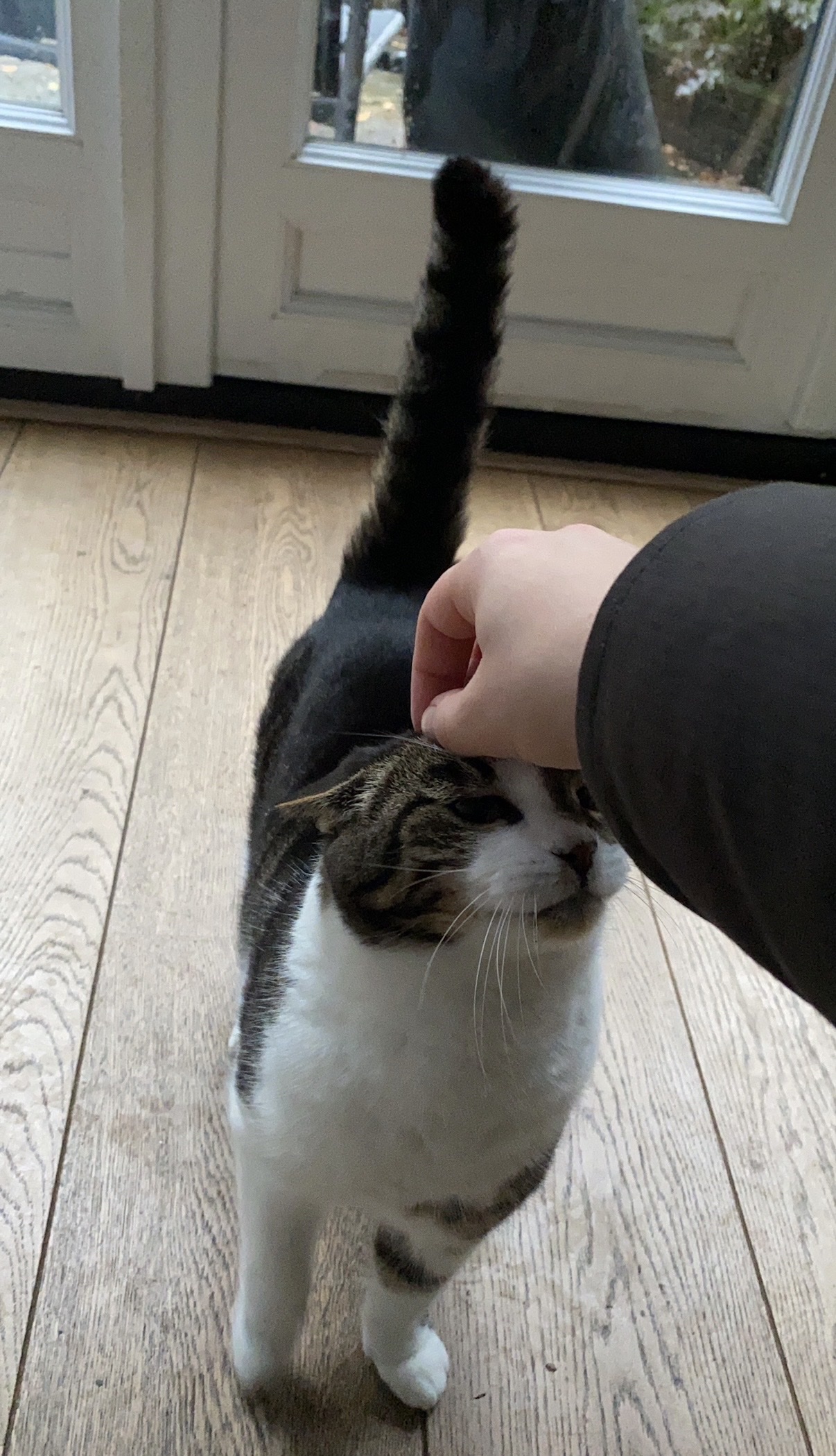 image-11