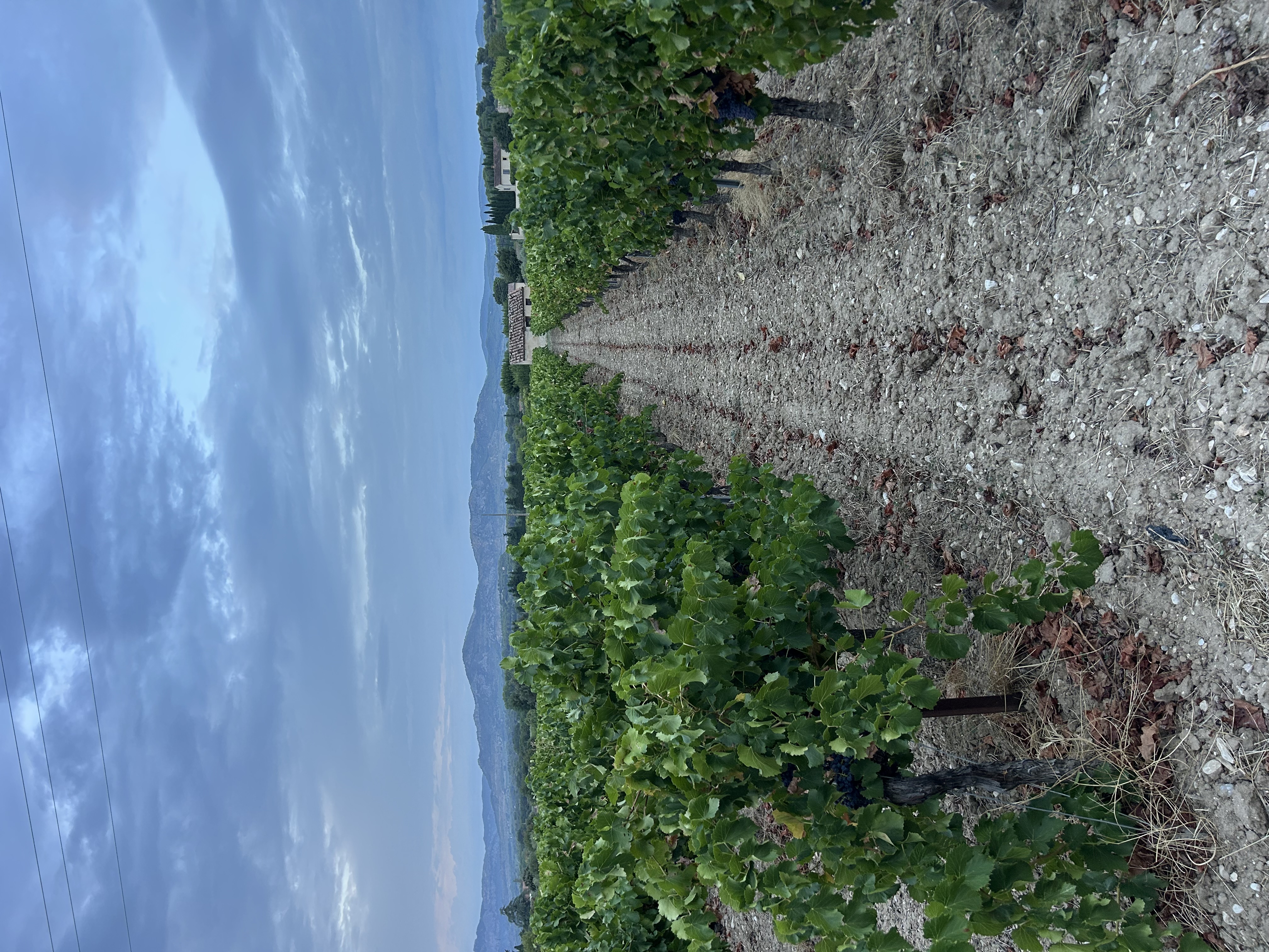 image-26