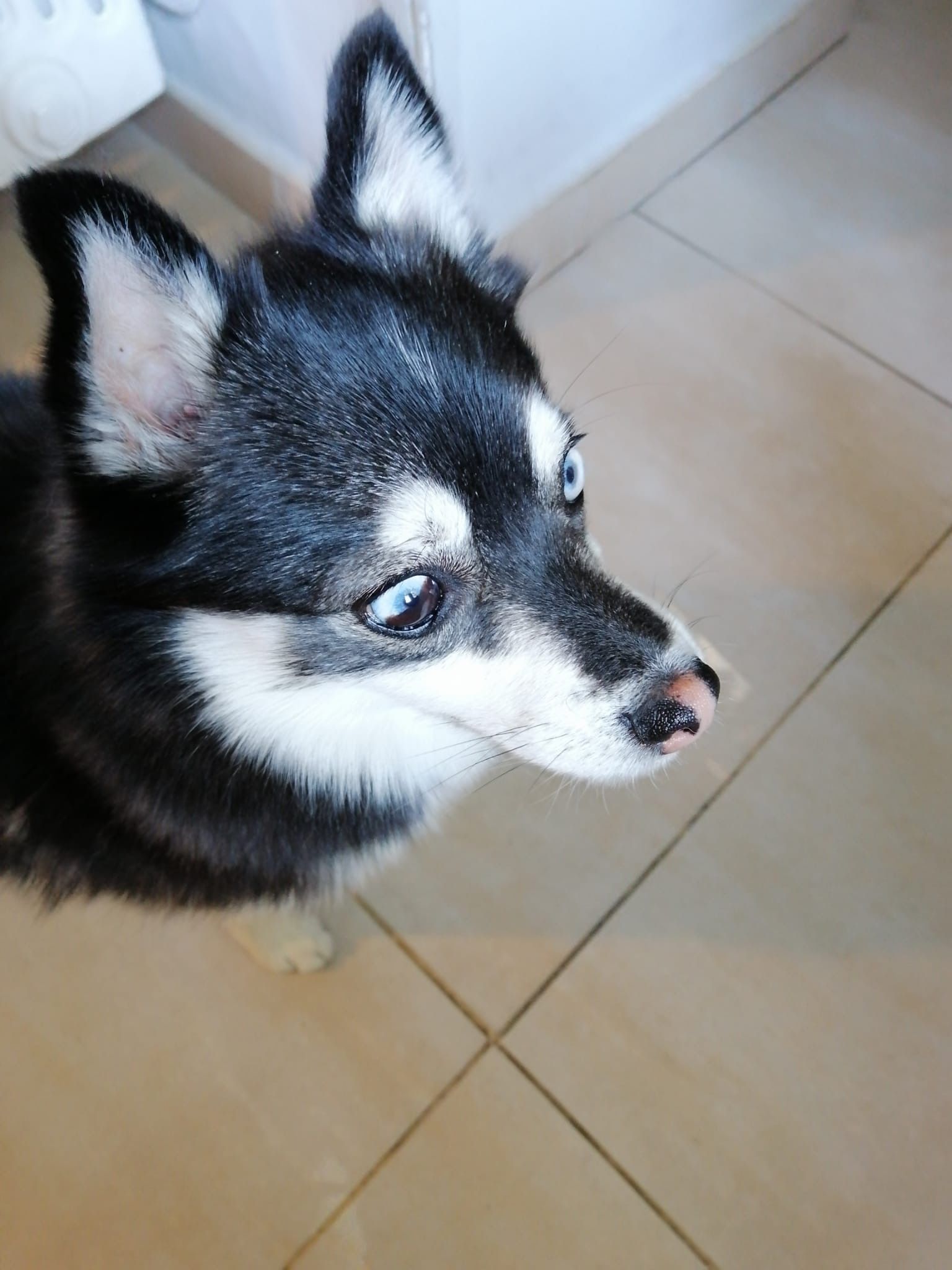 image-9