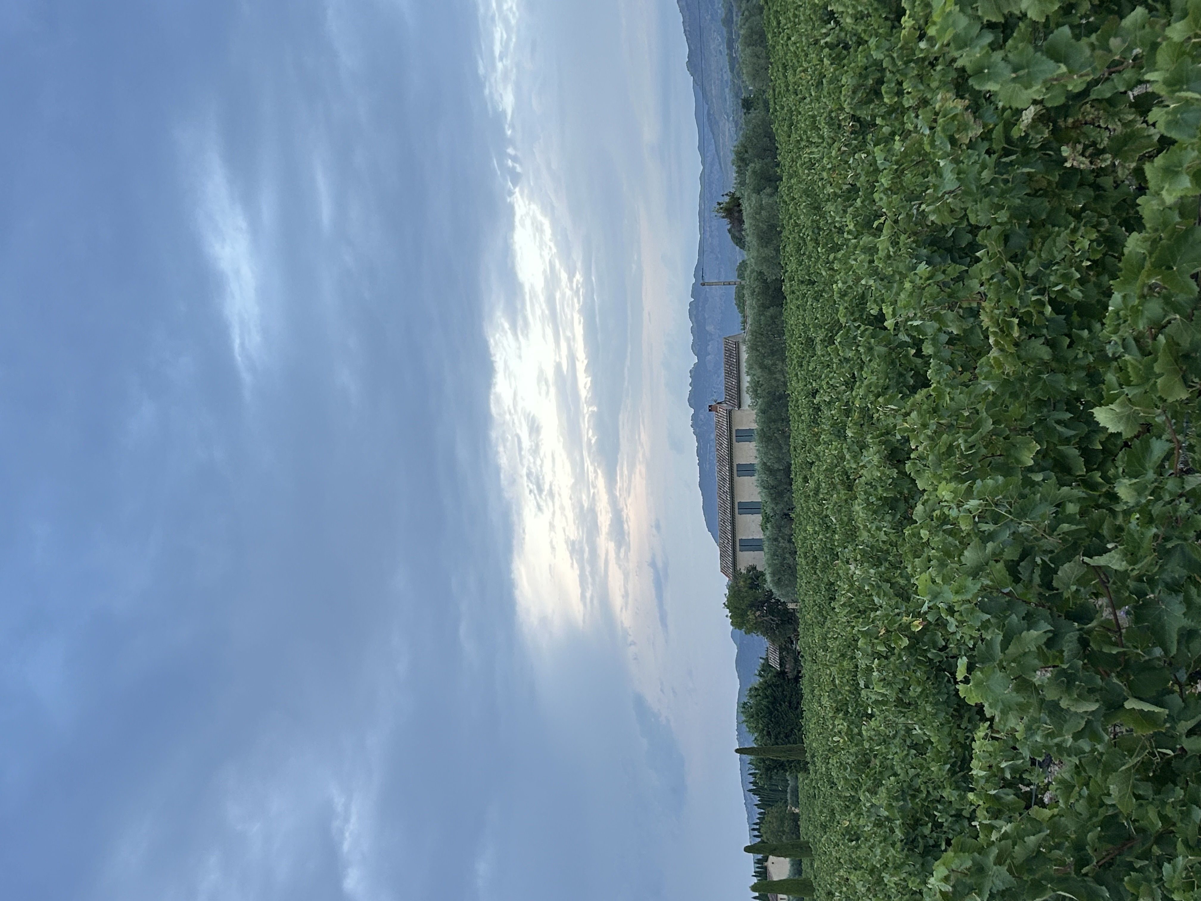 image-24