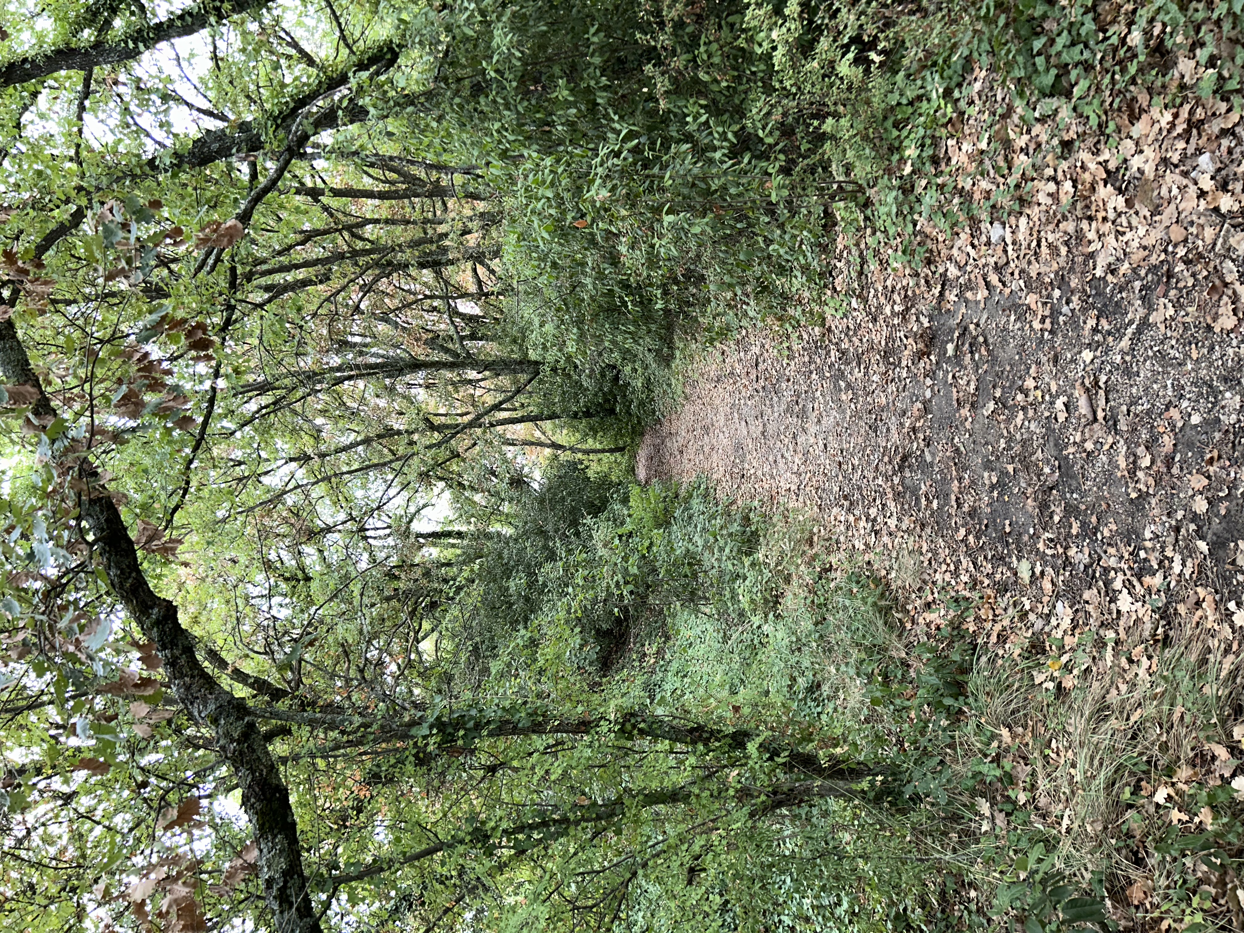image-25