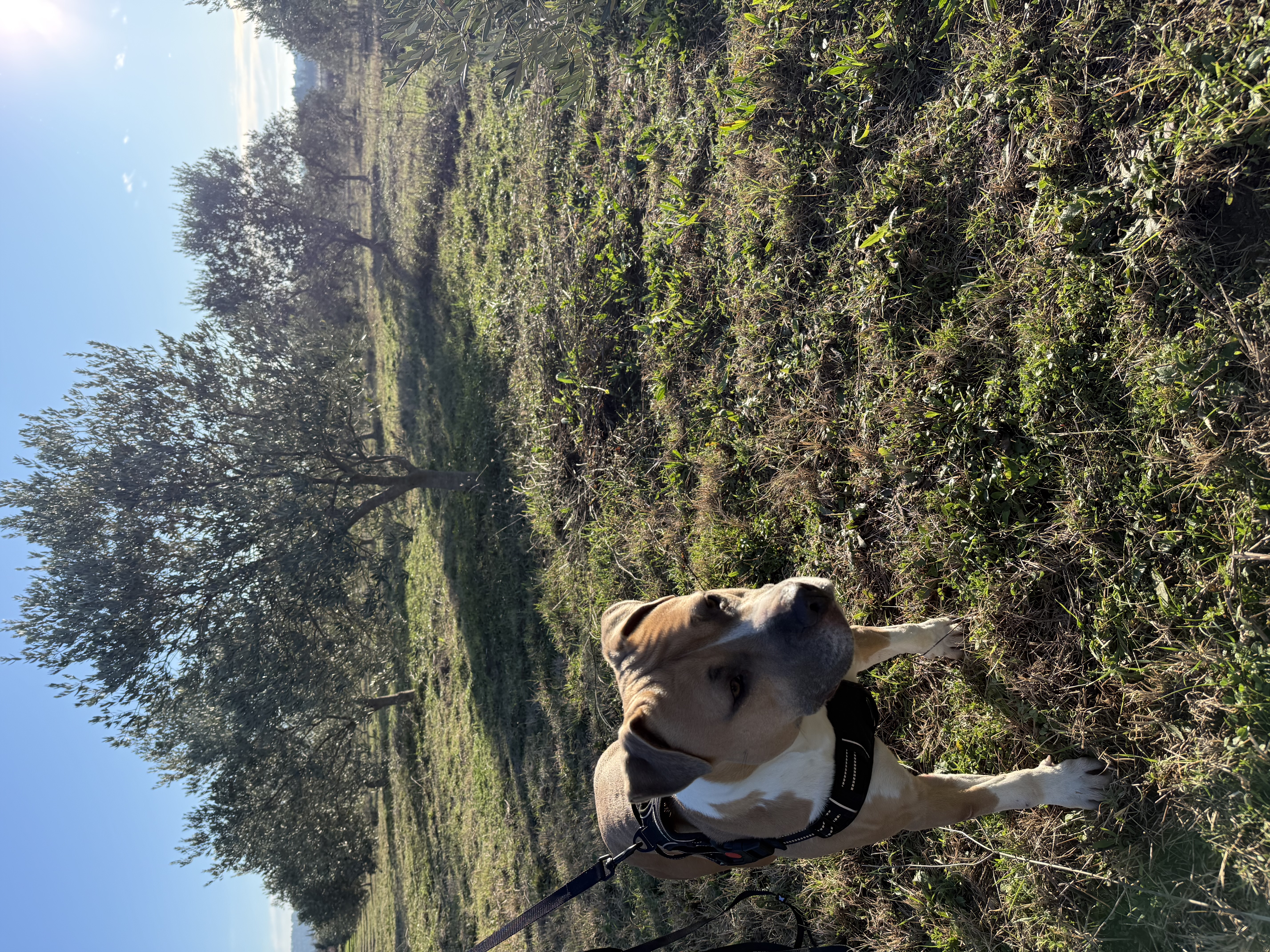 image-15