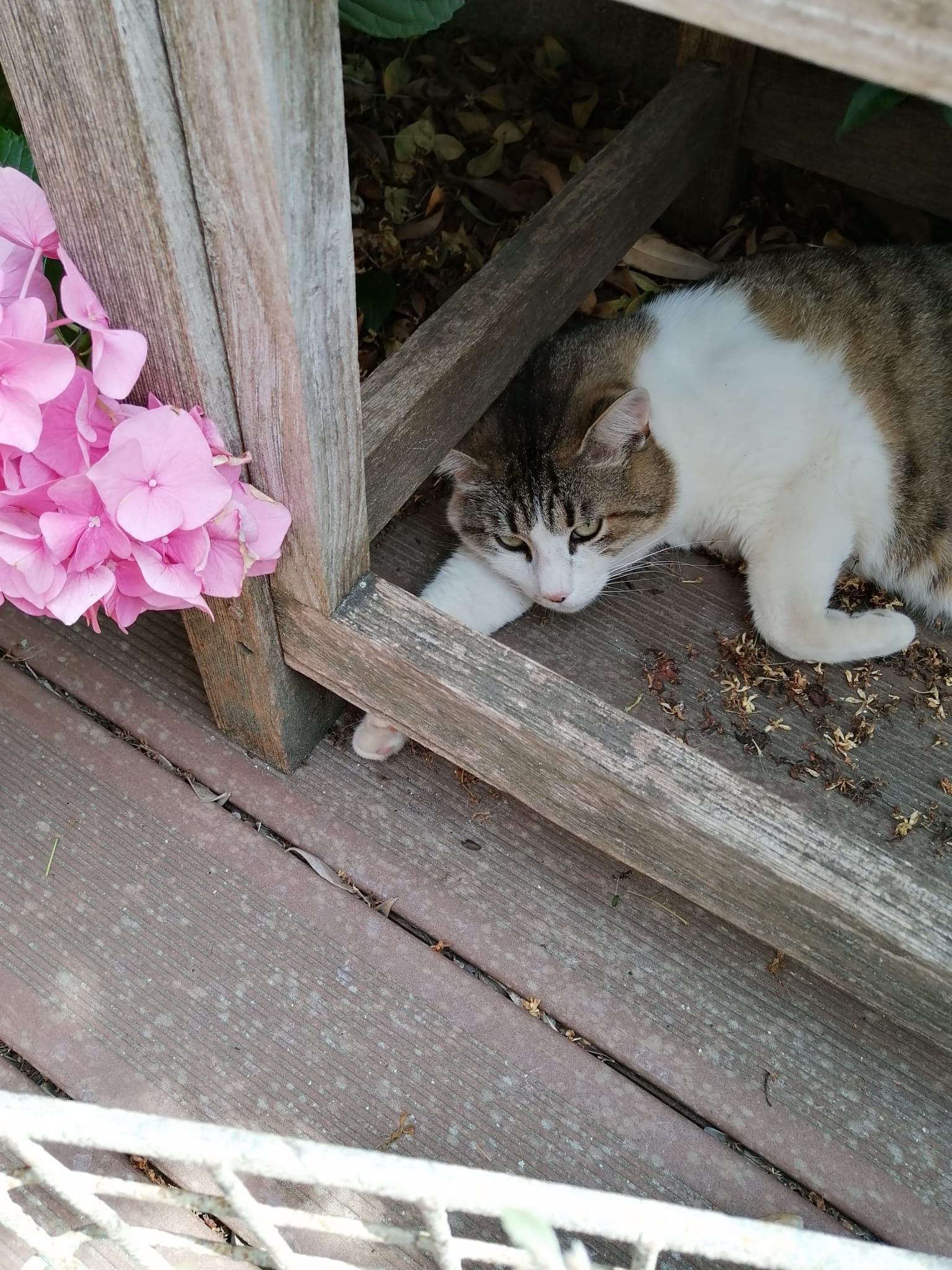 image-8