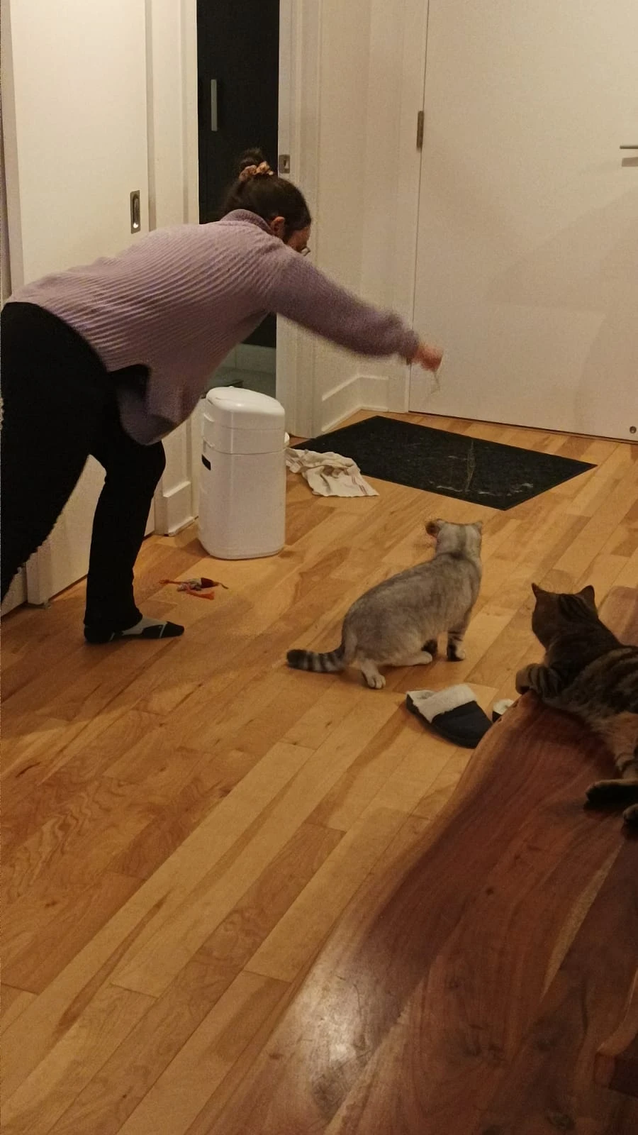 image-9