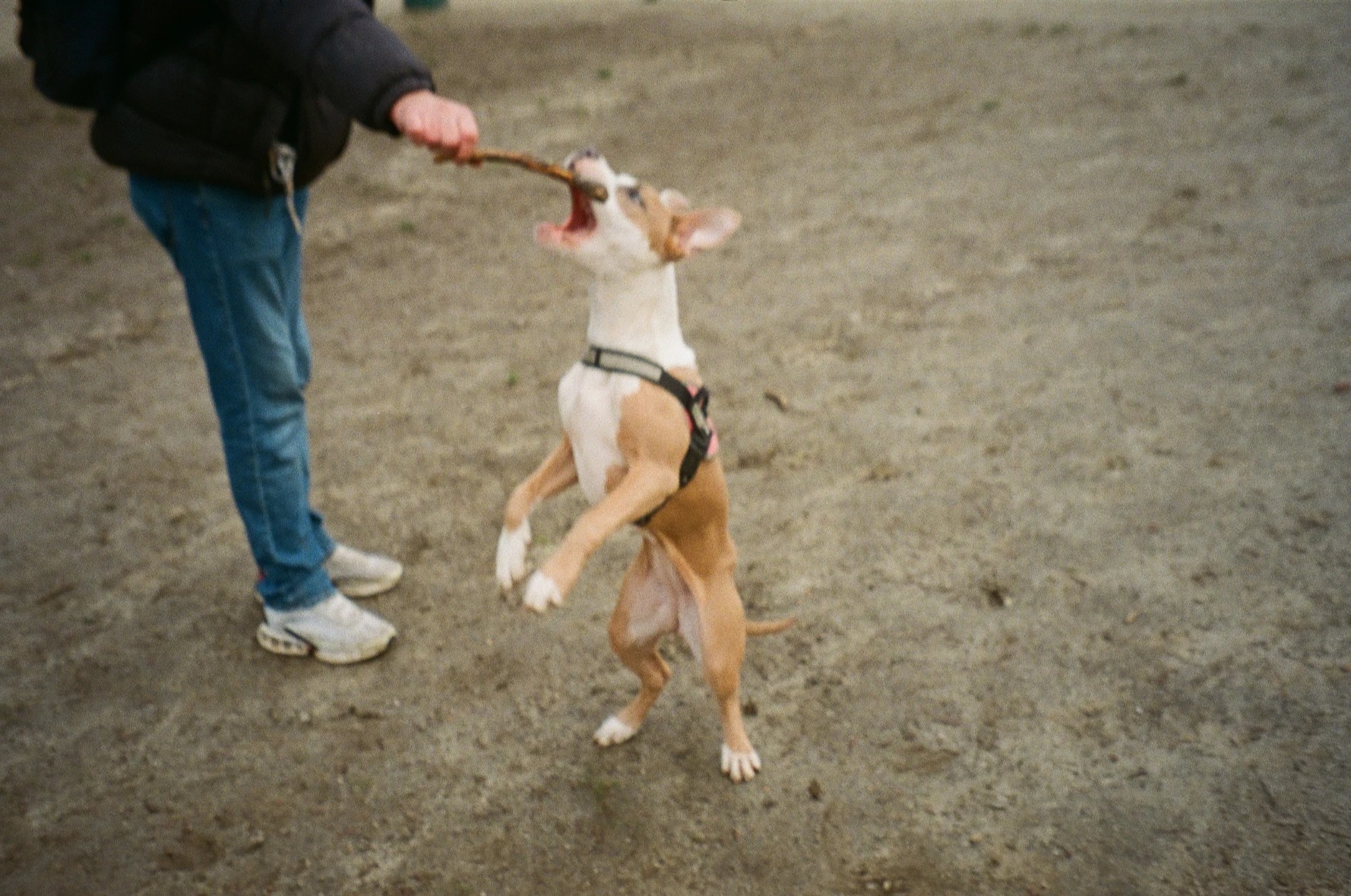 image-9