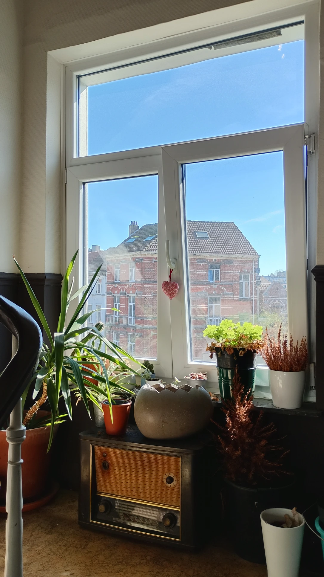 image-15