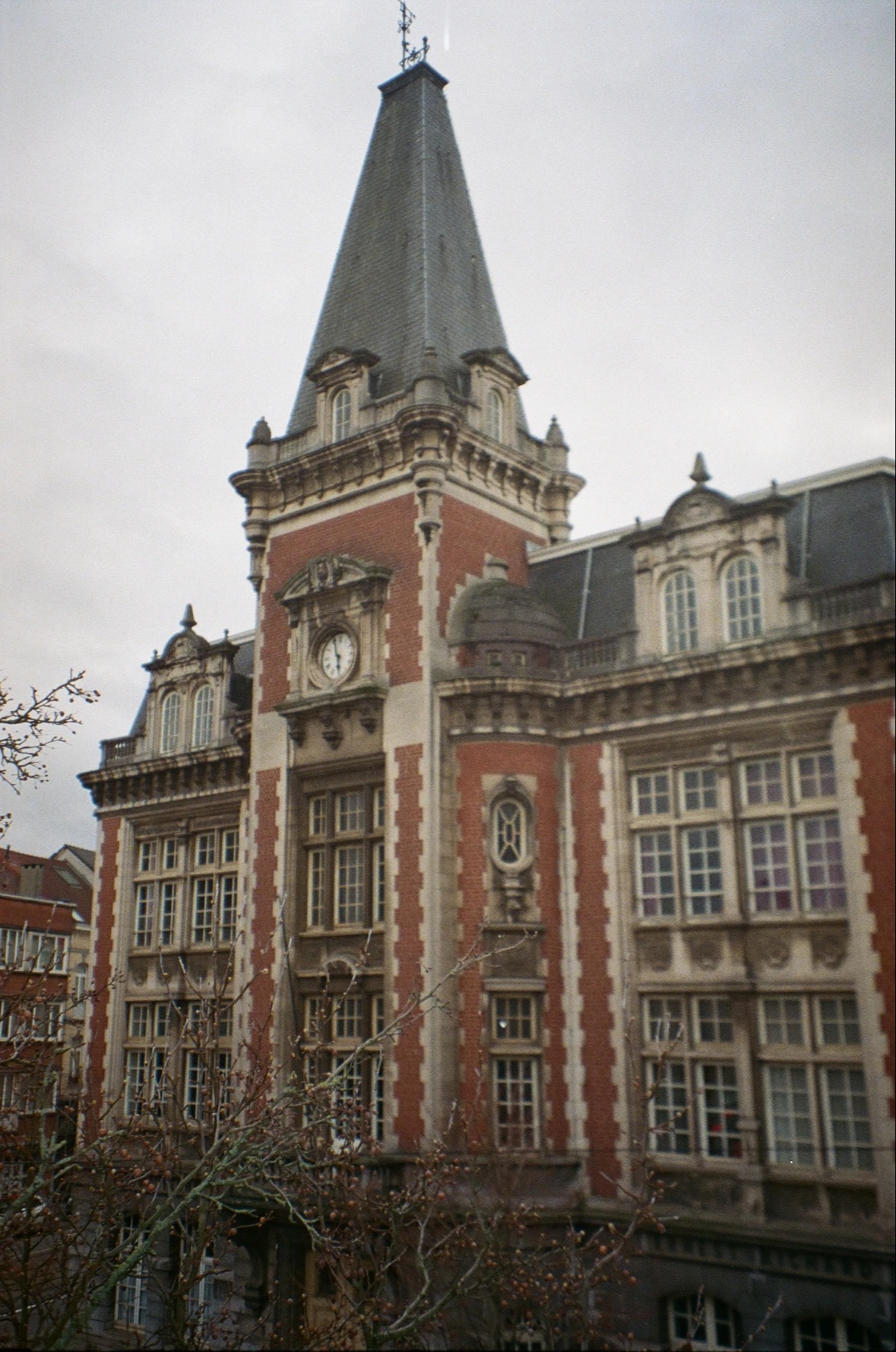 image-21