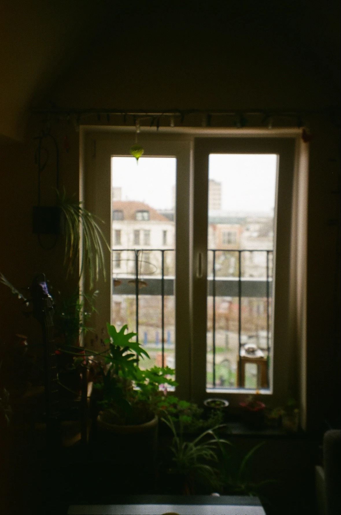 image-20