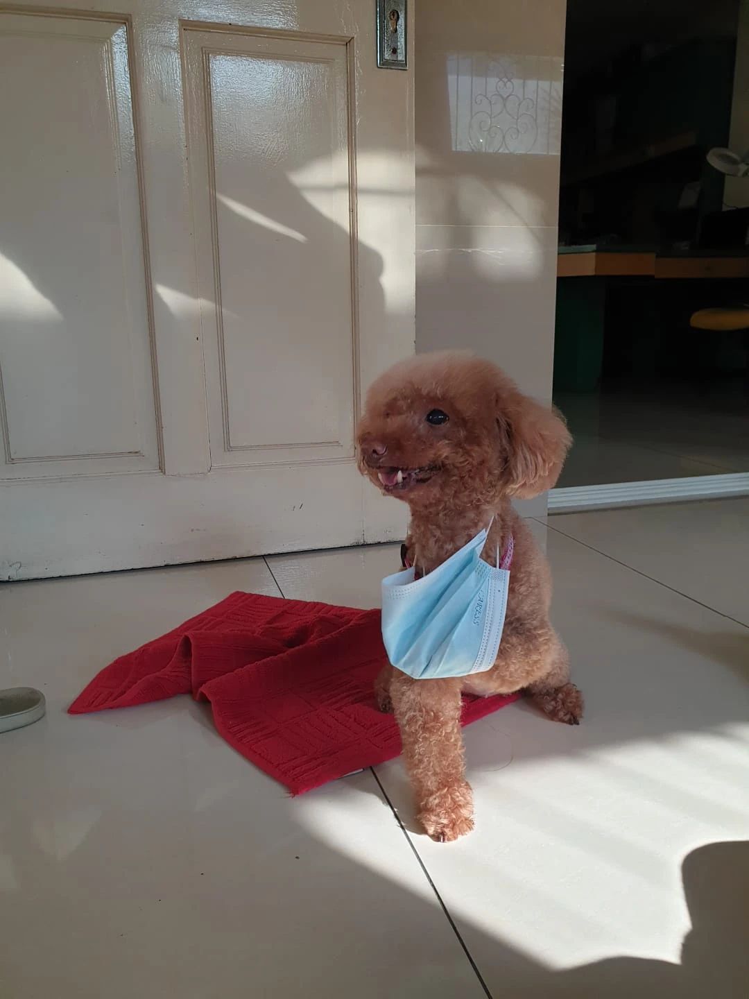 image-8