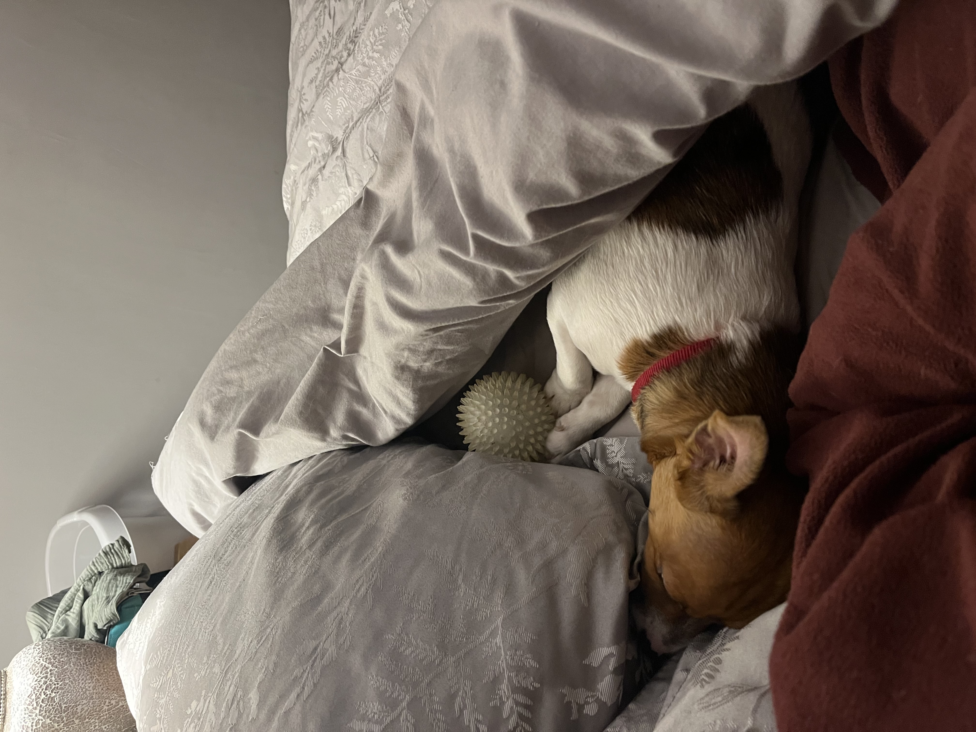 image-5