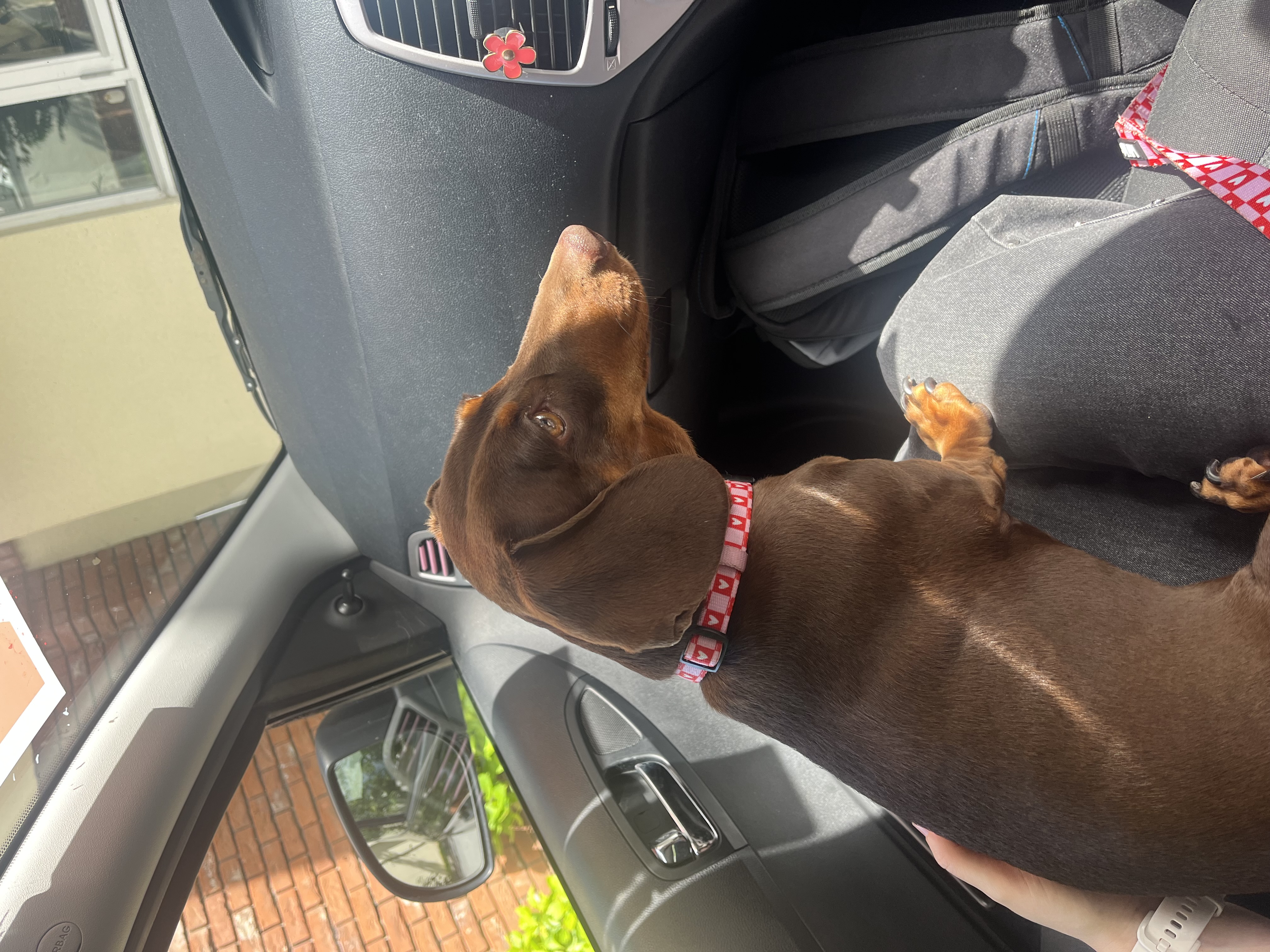 image-12