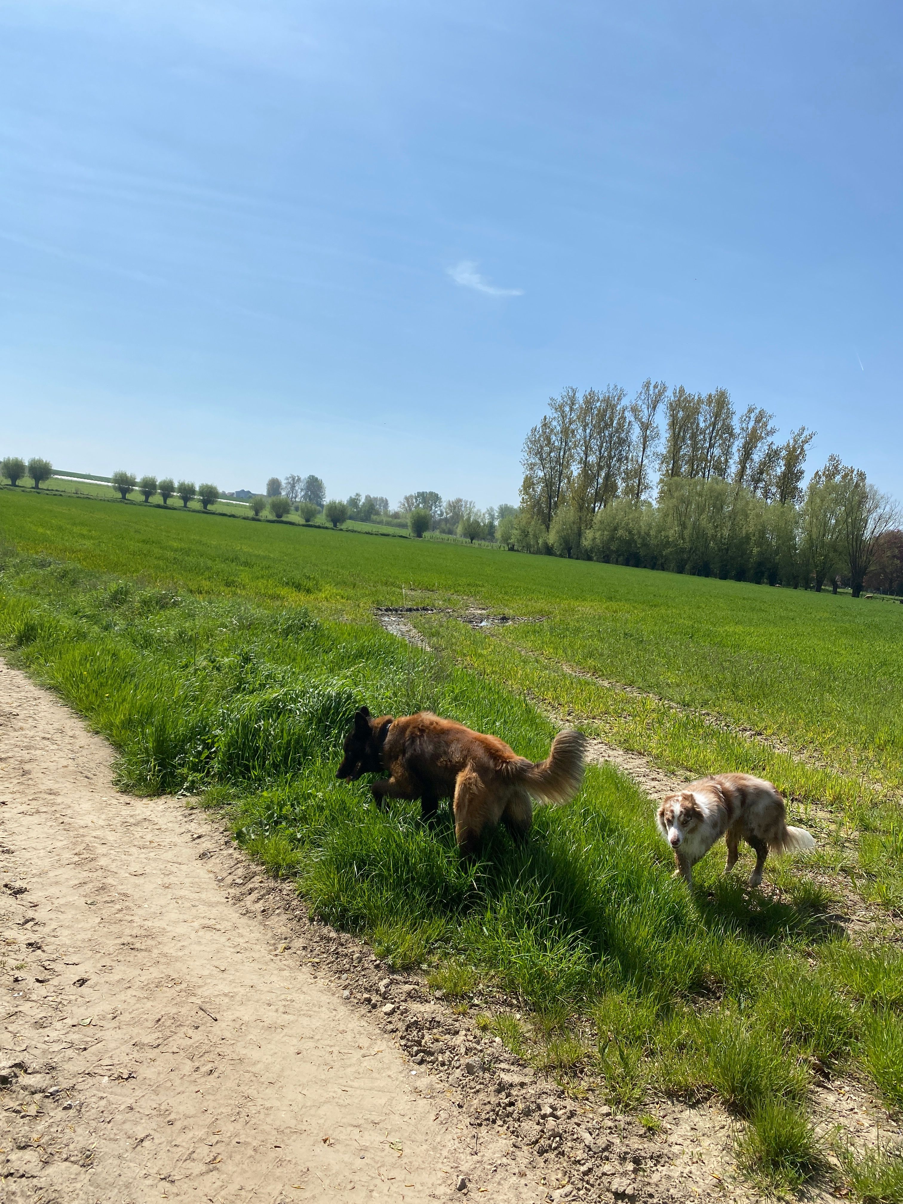 image-17