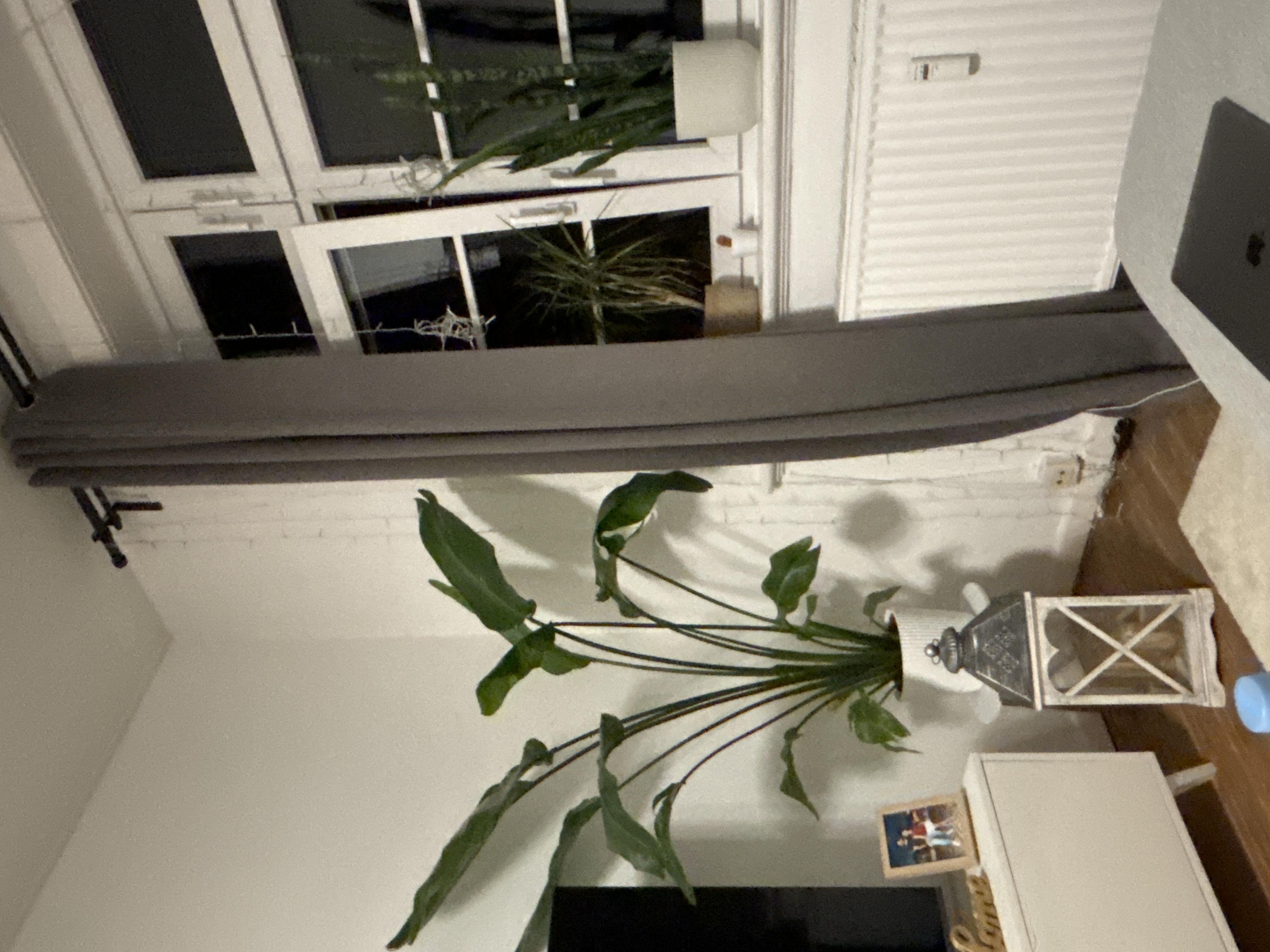 image-17