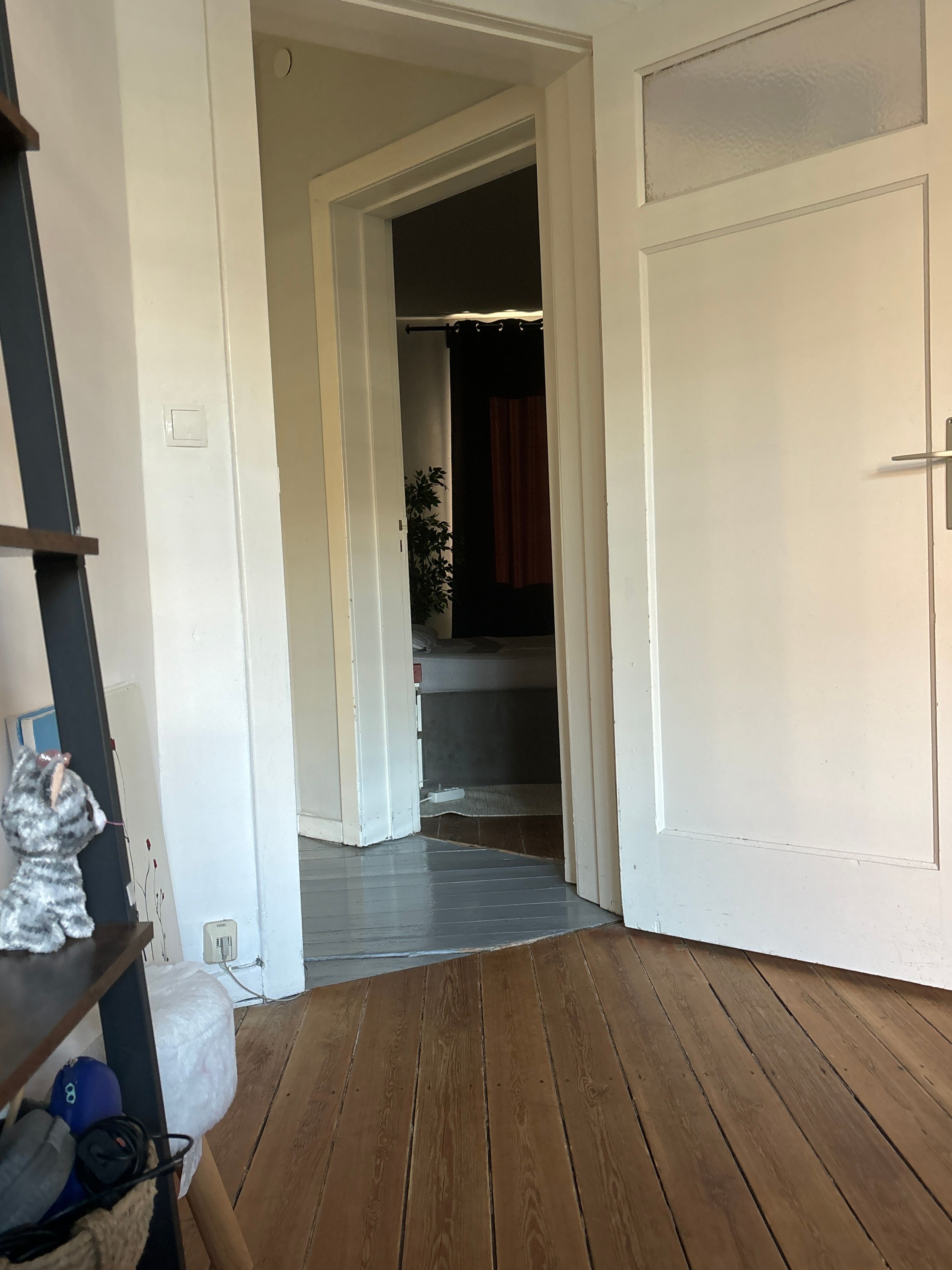 image-20