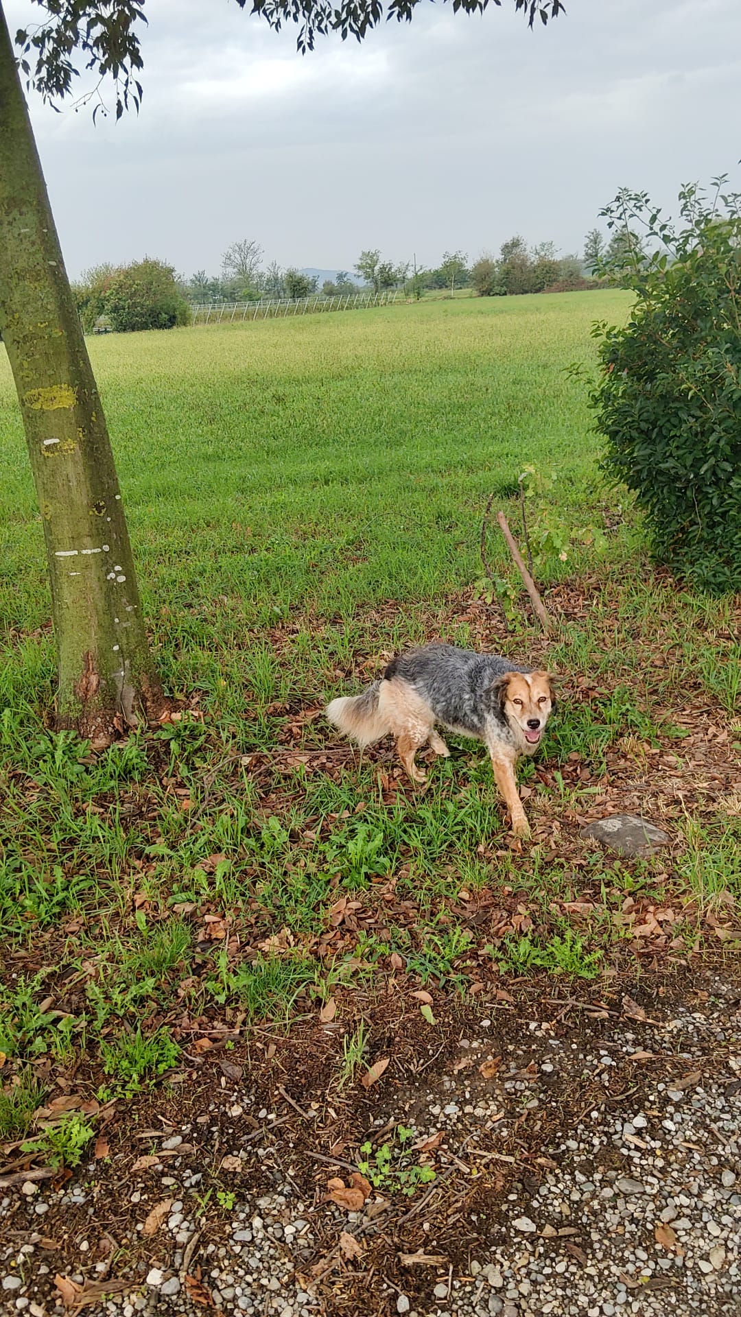 image-14