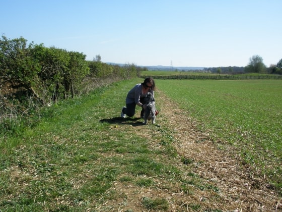 image-0