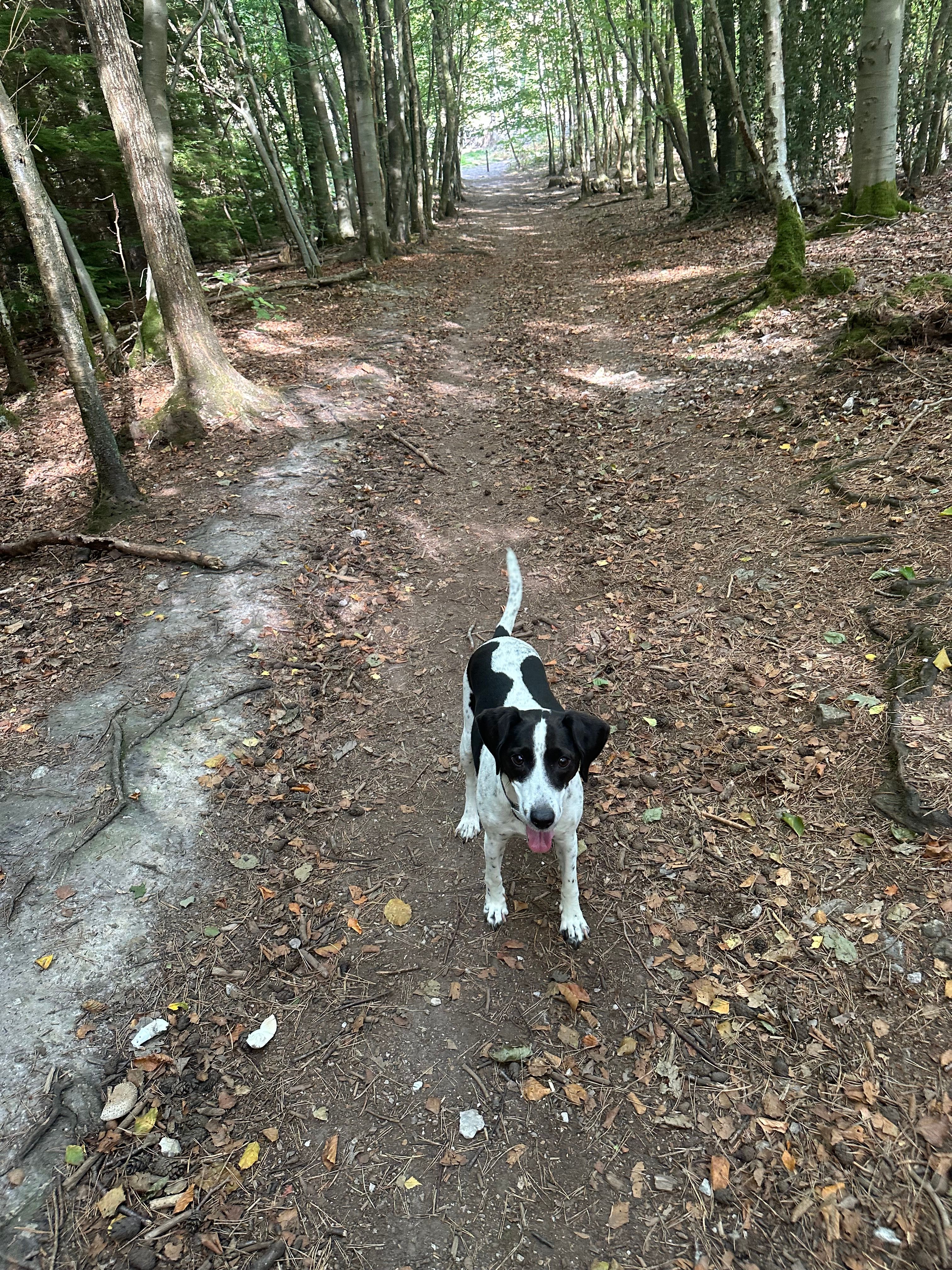 image-0