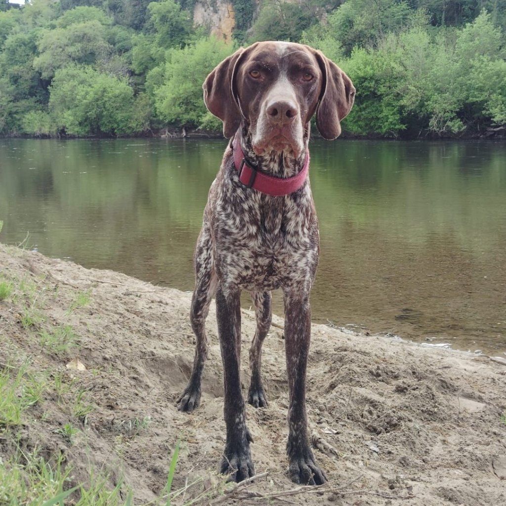 Zanco