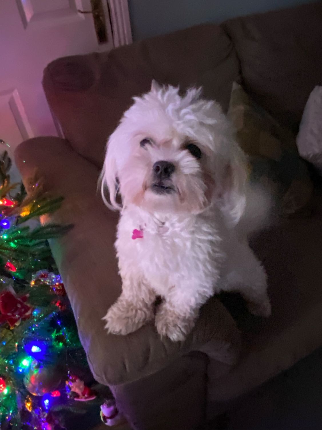 image-14