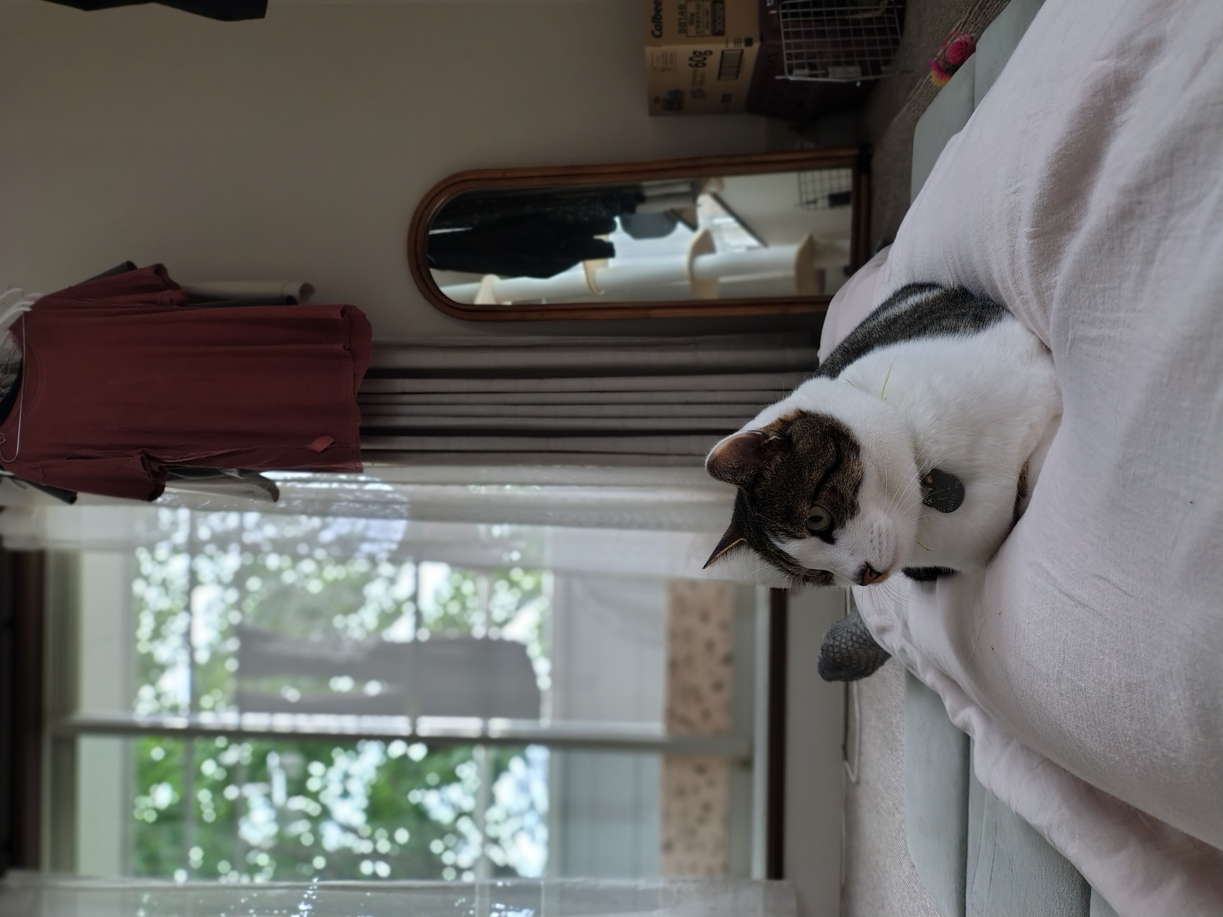 image-8