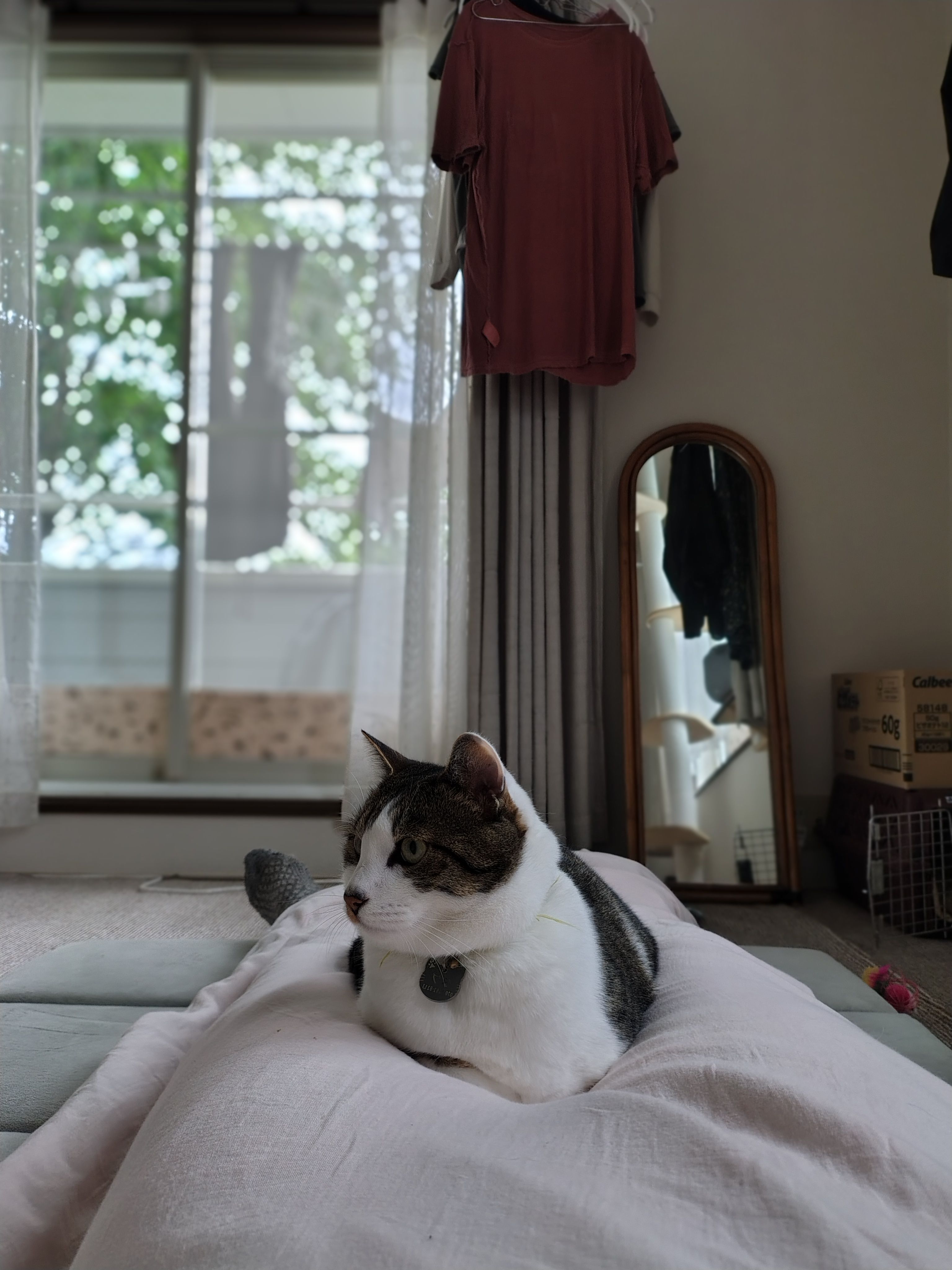 image-8