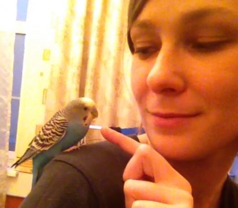 image-5