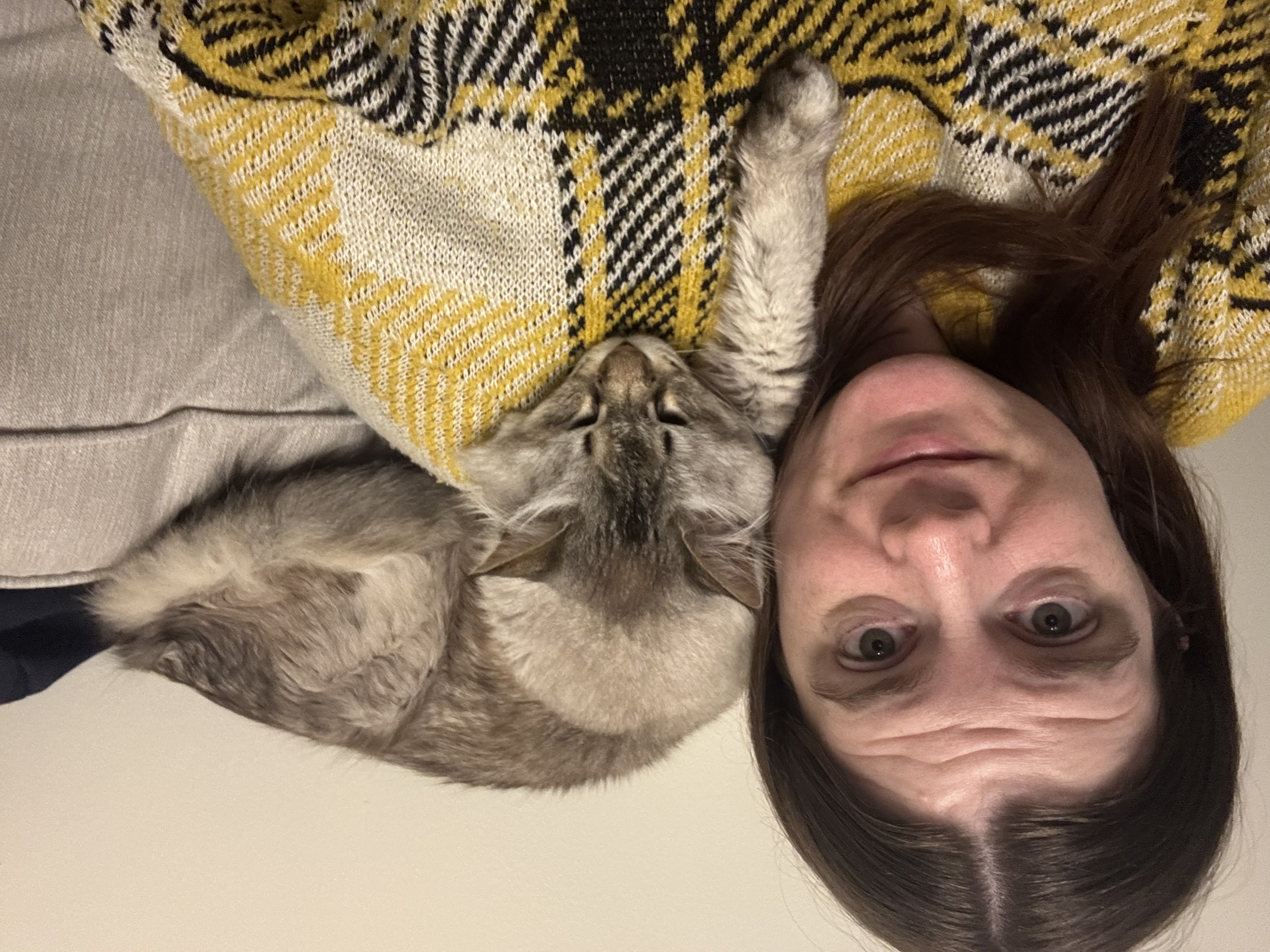 image-6