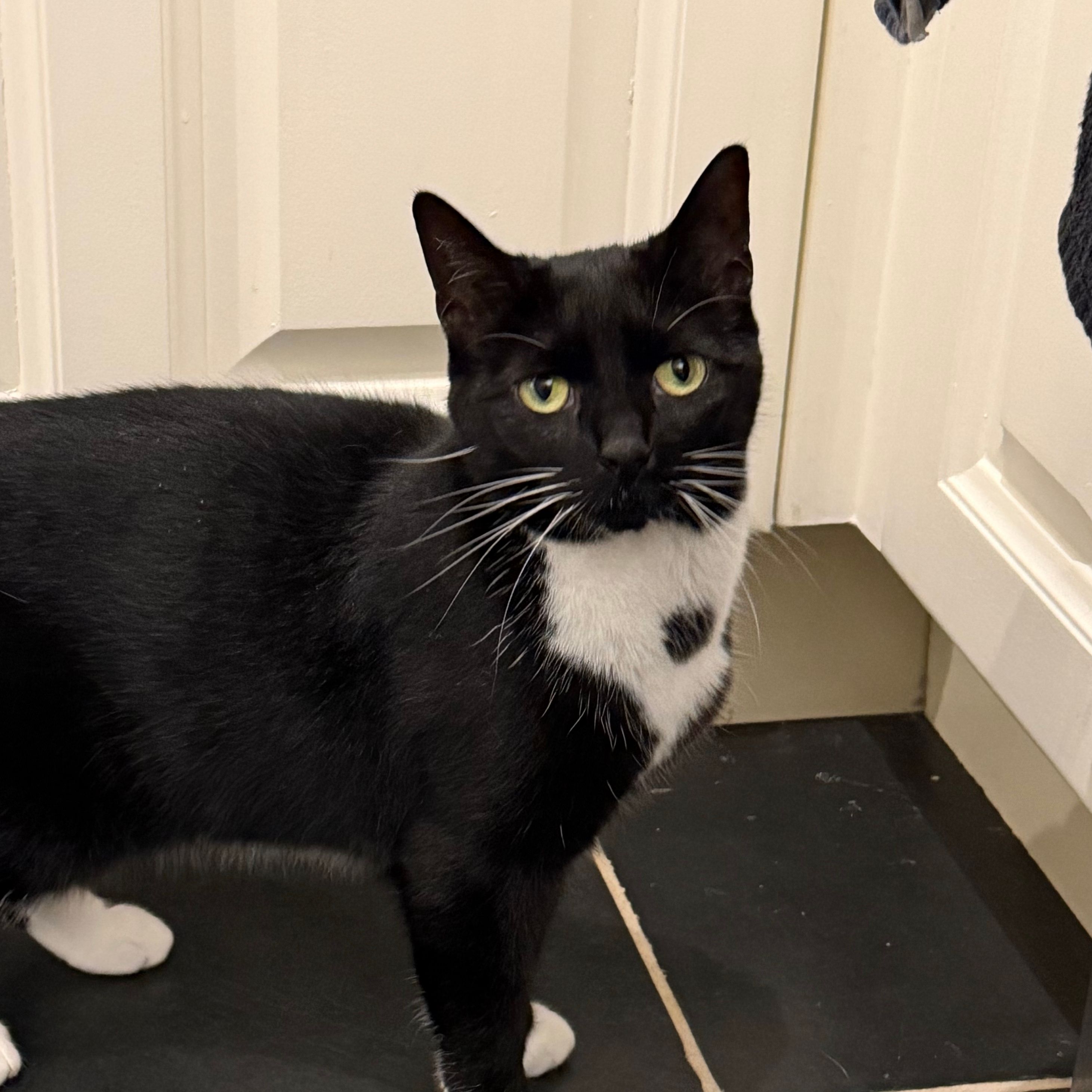 Tux