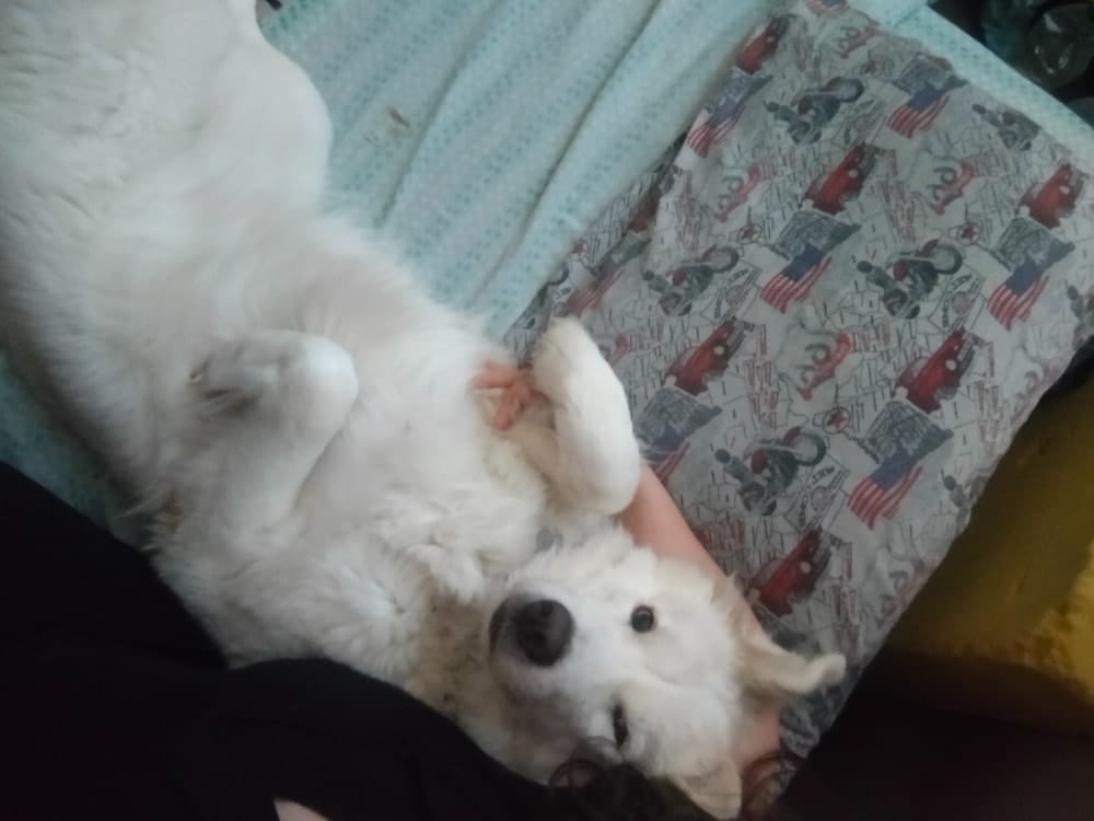 image-5