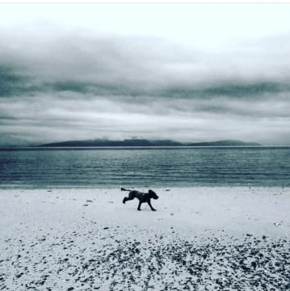 image-5