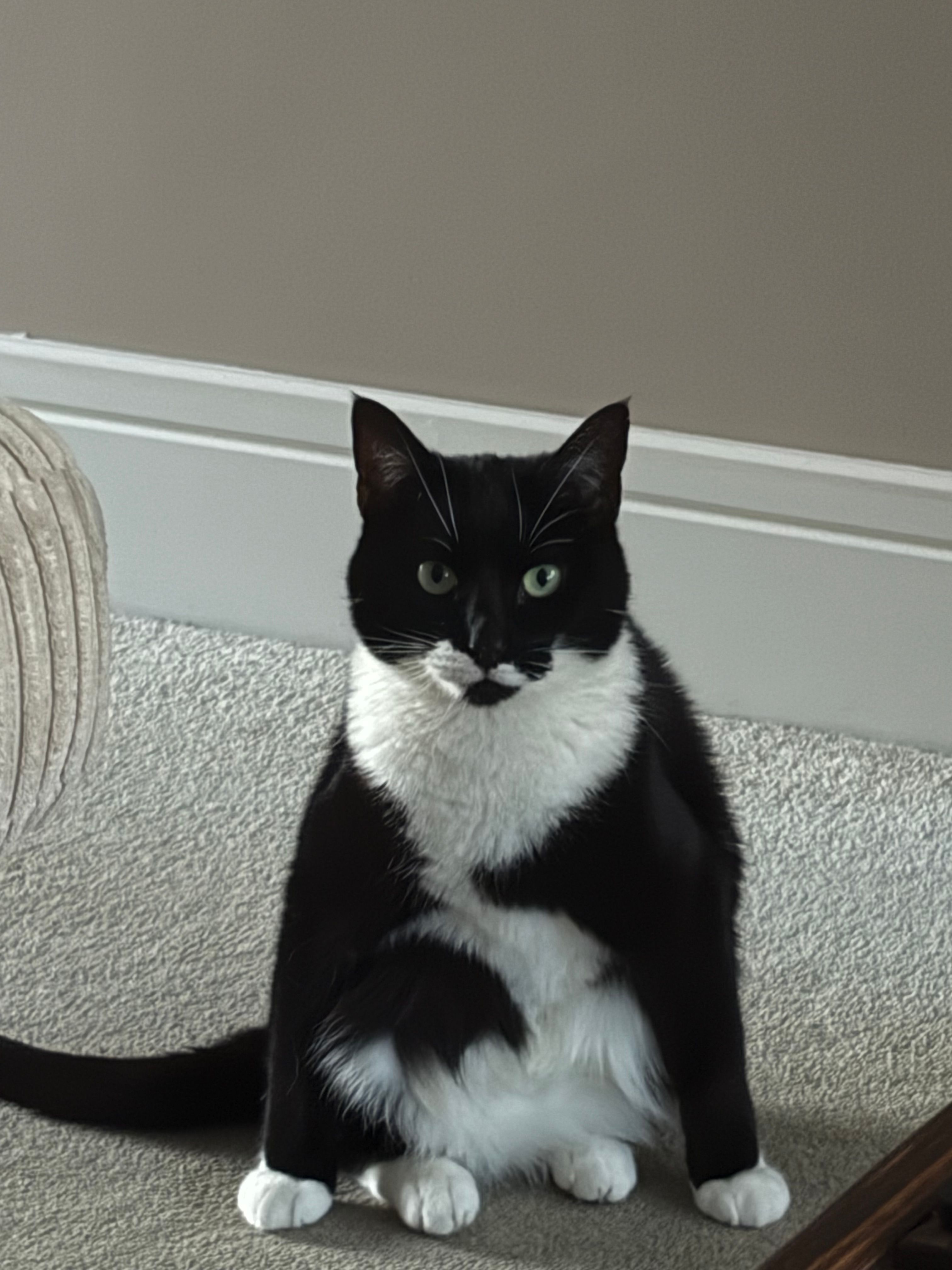 image-10