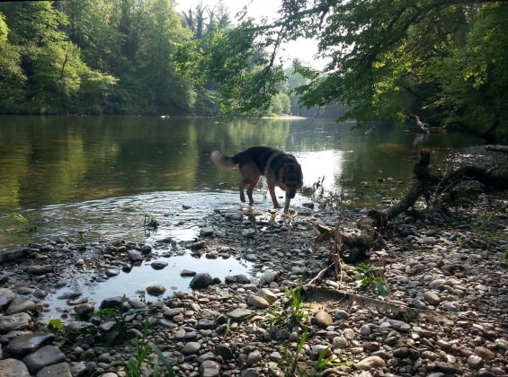 image-2