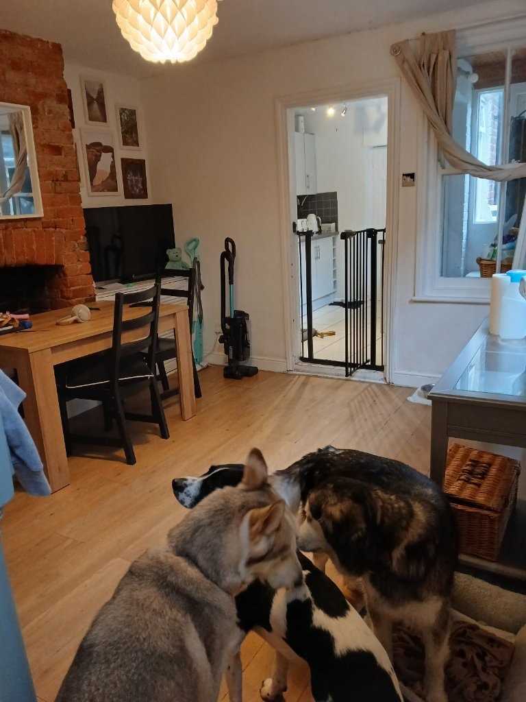 image-14