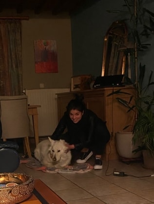 image-6