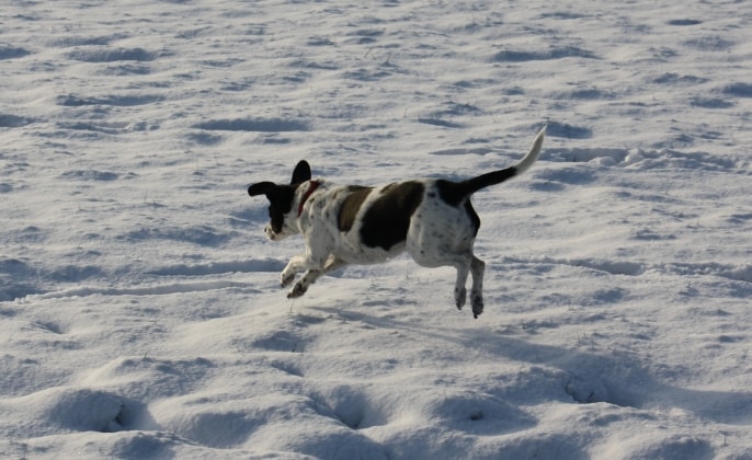 image-0