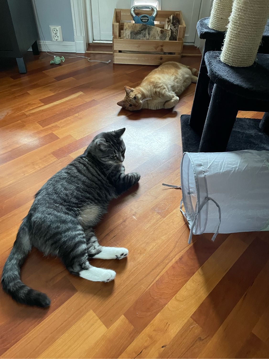 image-28