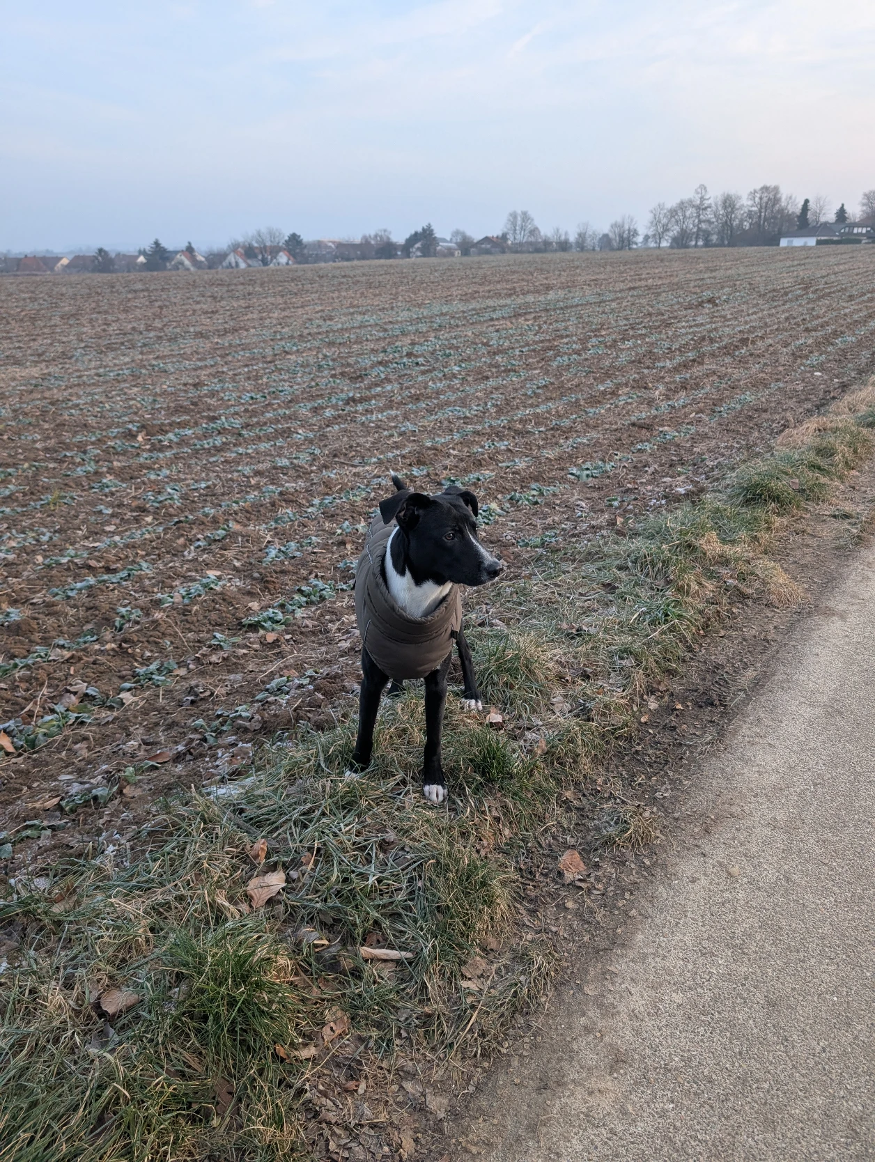 image-6