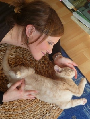 image-5