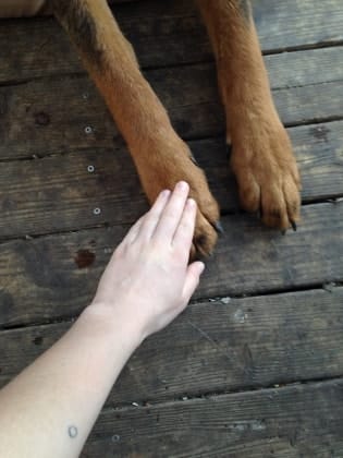 image-11