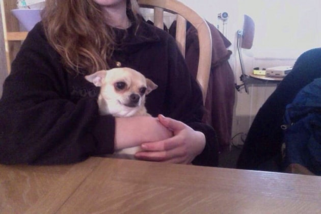 image-7