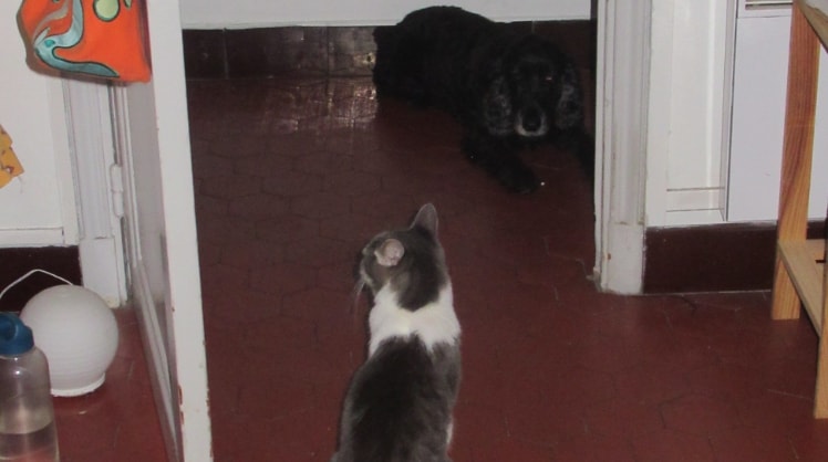 image-14