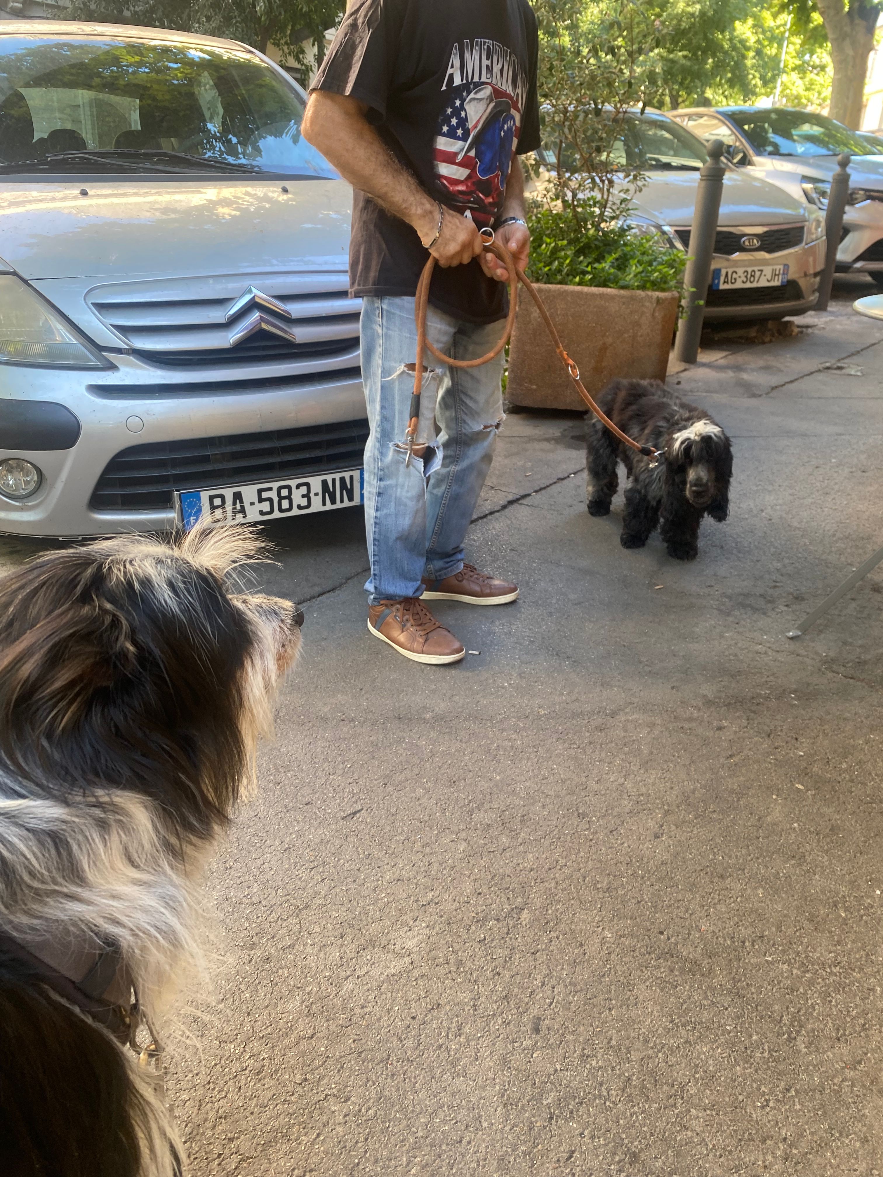 image-33