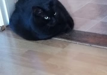 Spud