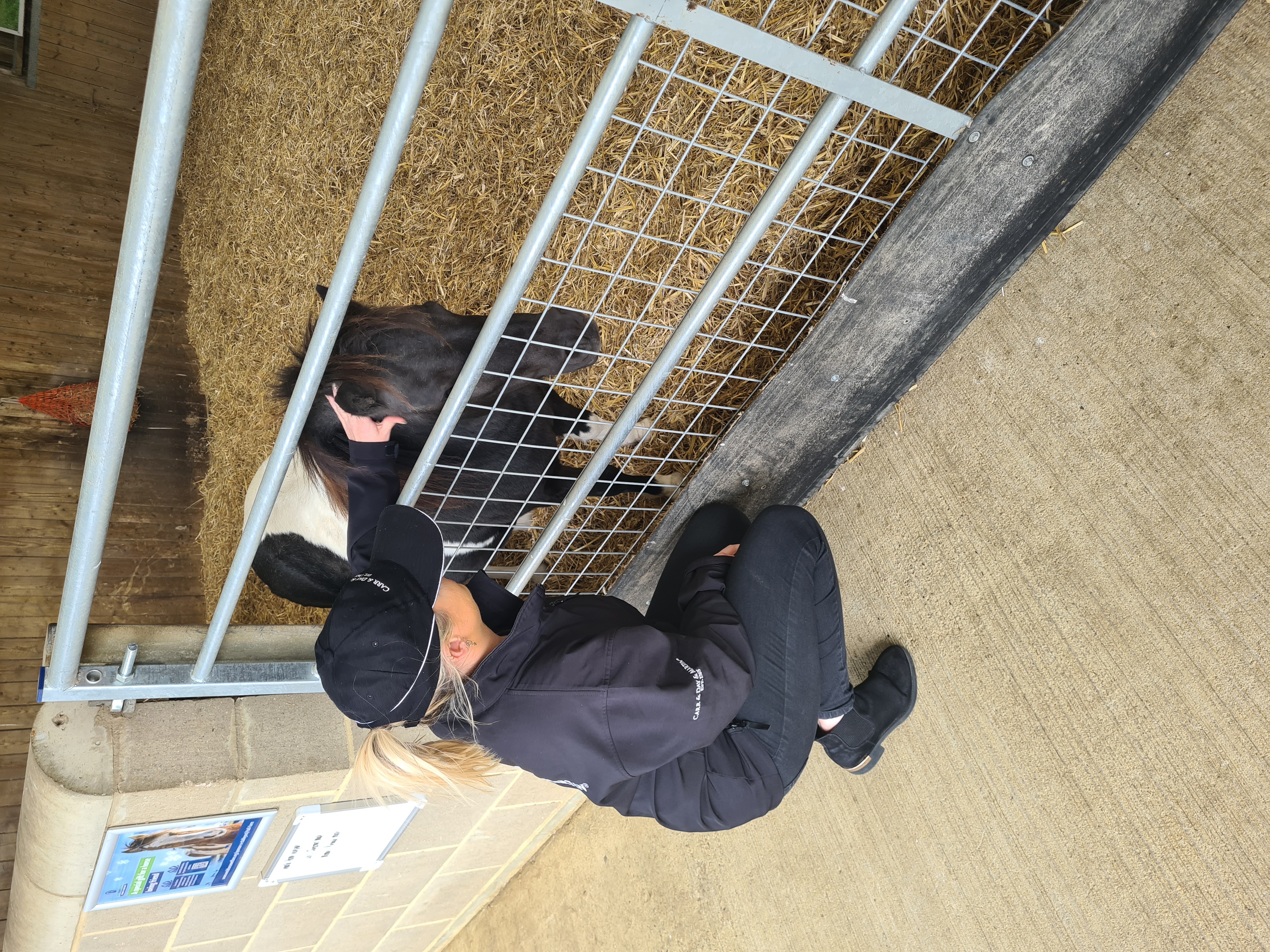 image-8