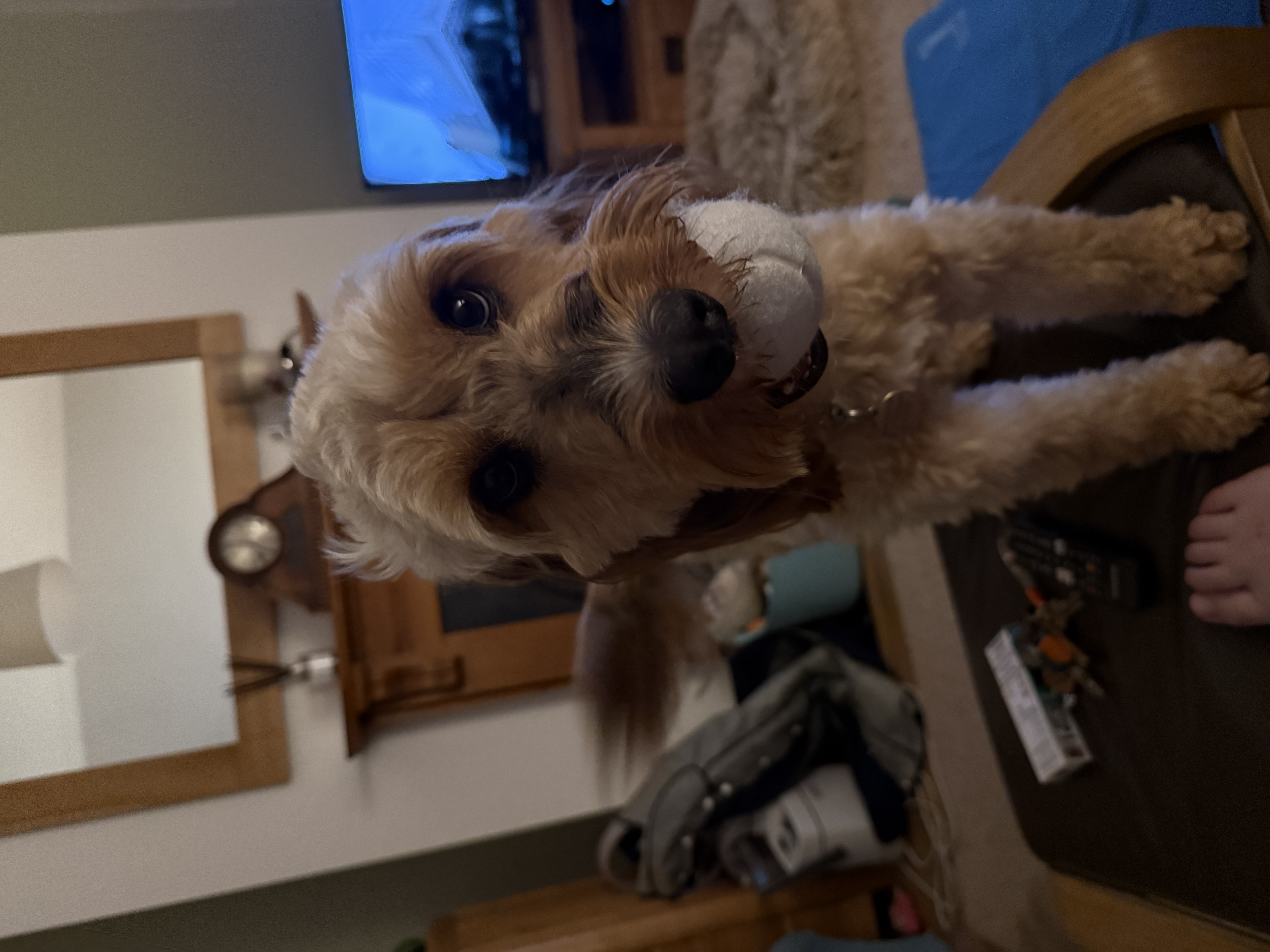 image-6