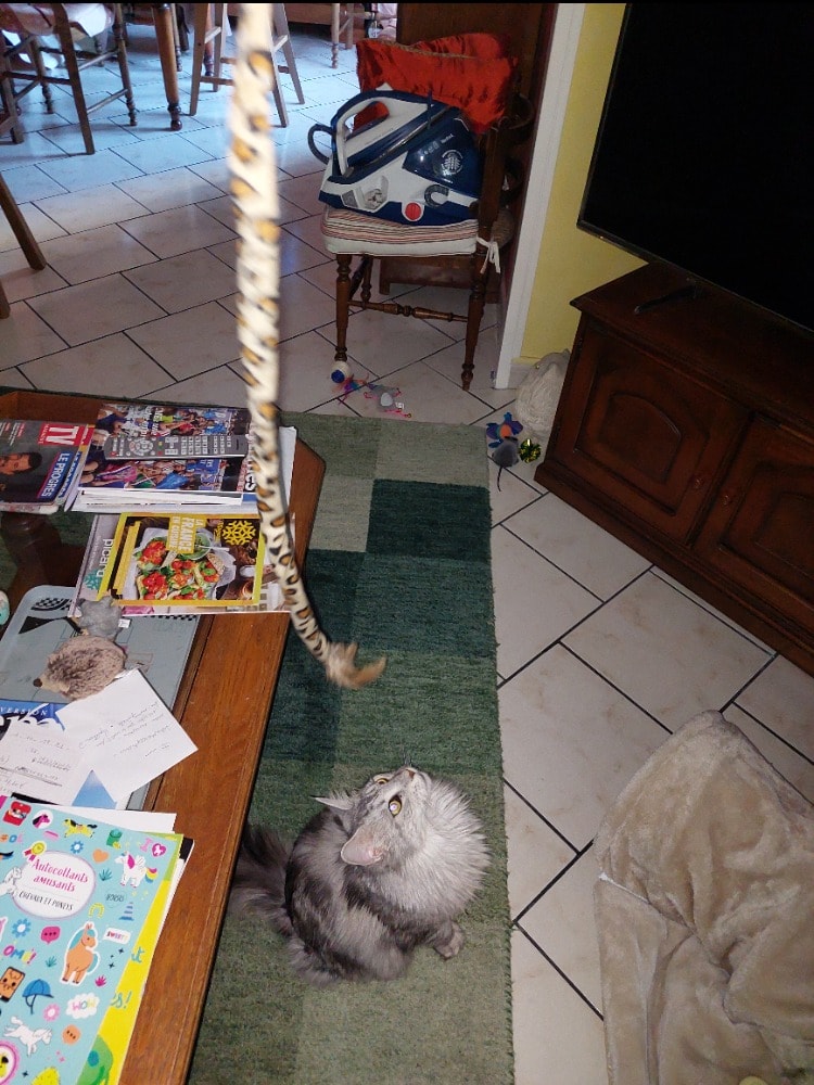 image-21